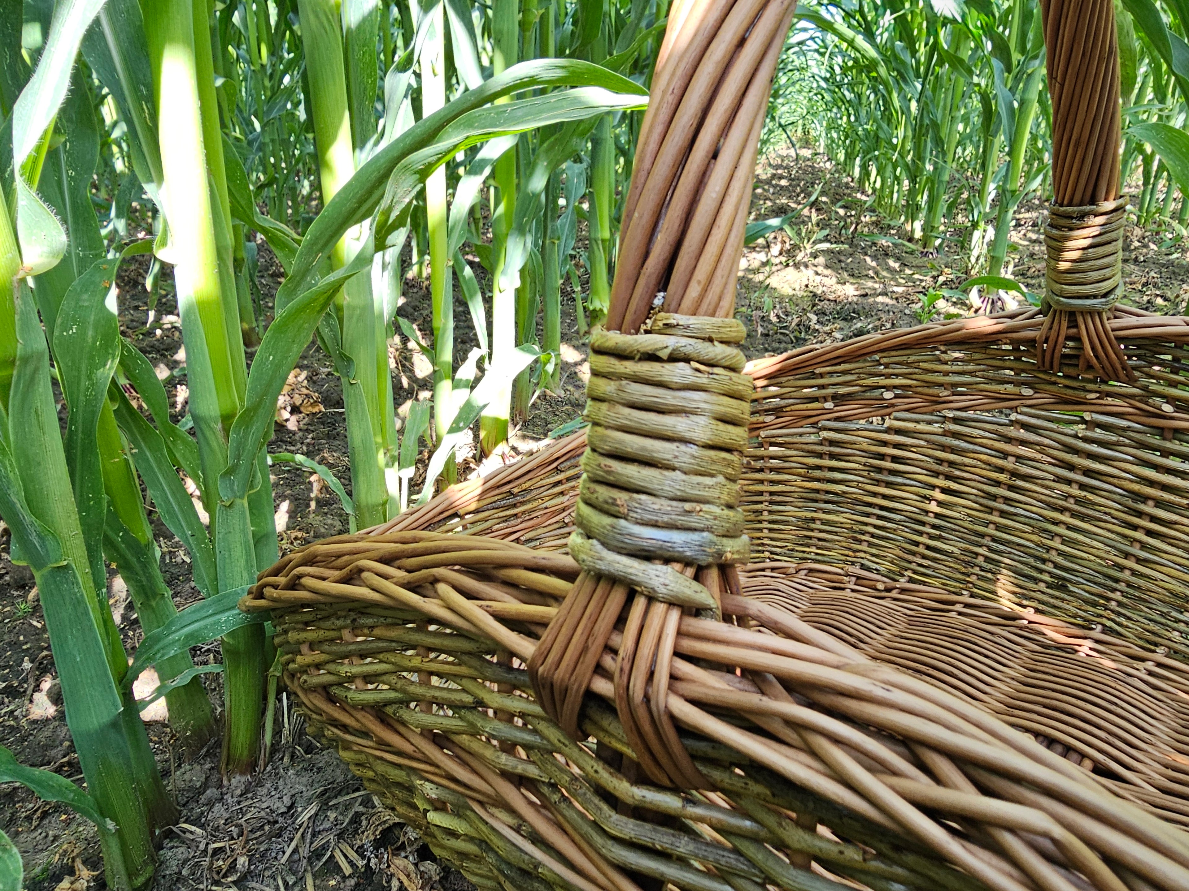 Large Unpeeled Willow Trug 027b-5
