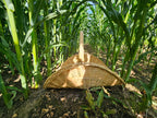 Large Wicker Flower Basket with Woven Base