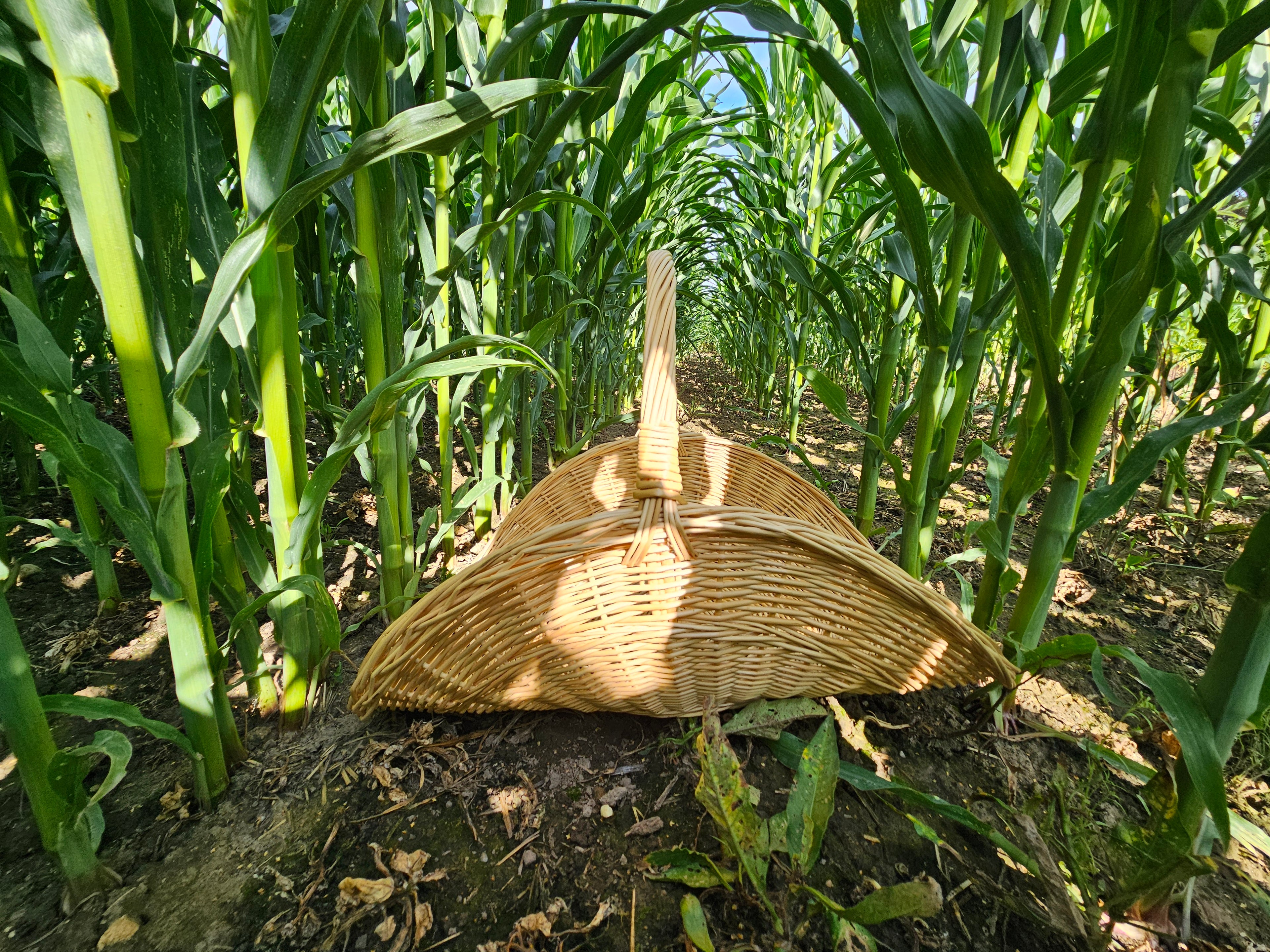 Wicker flower basket 031b