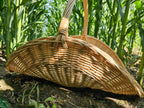 Large Wicker Flower Basket with Woven Base