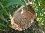 Round Wicker Basket with Handle