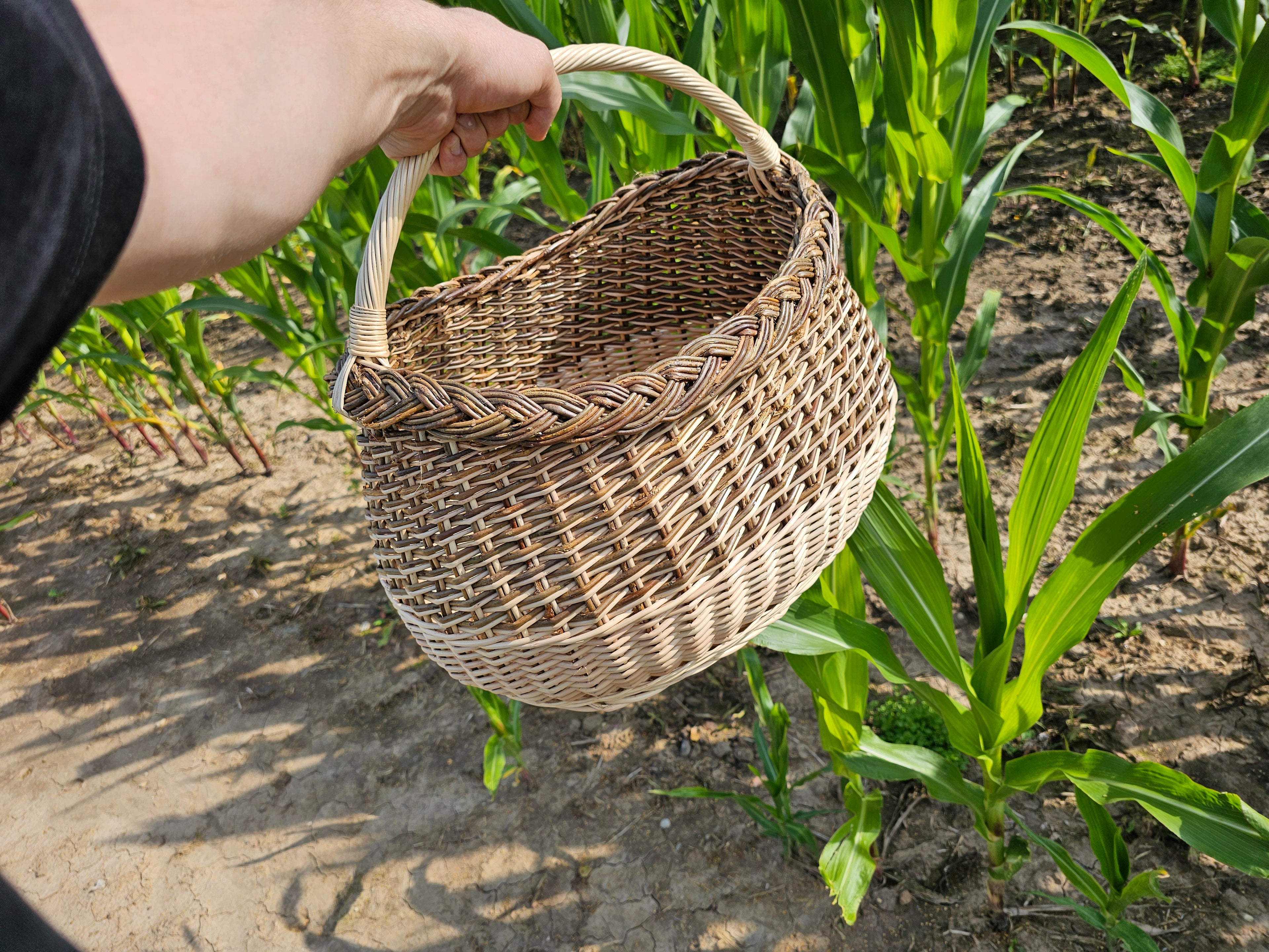 Wicker basket 015r