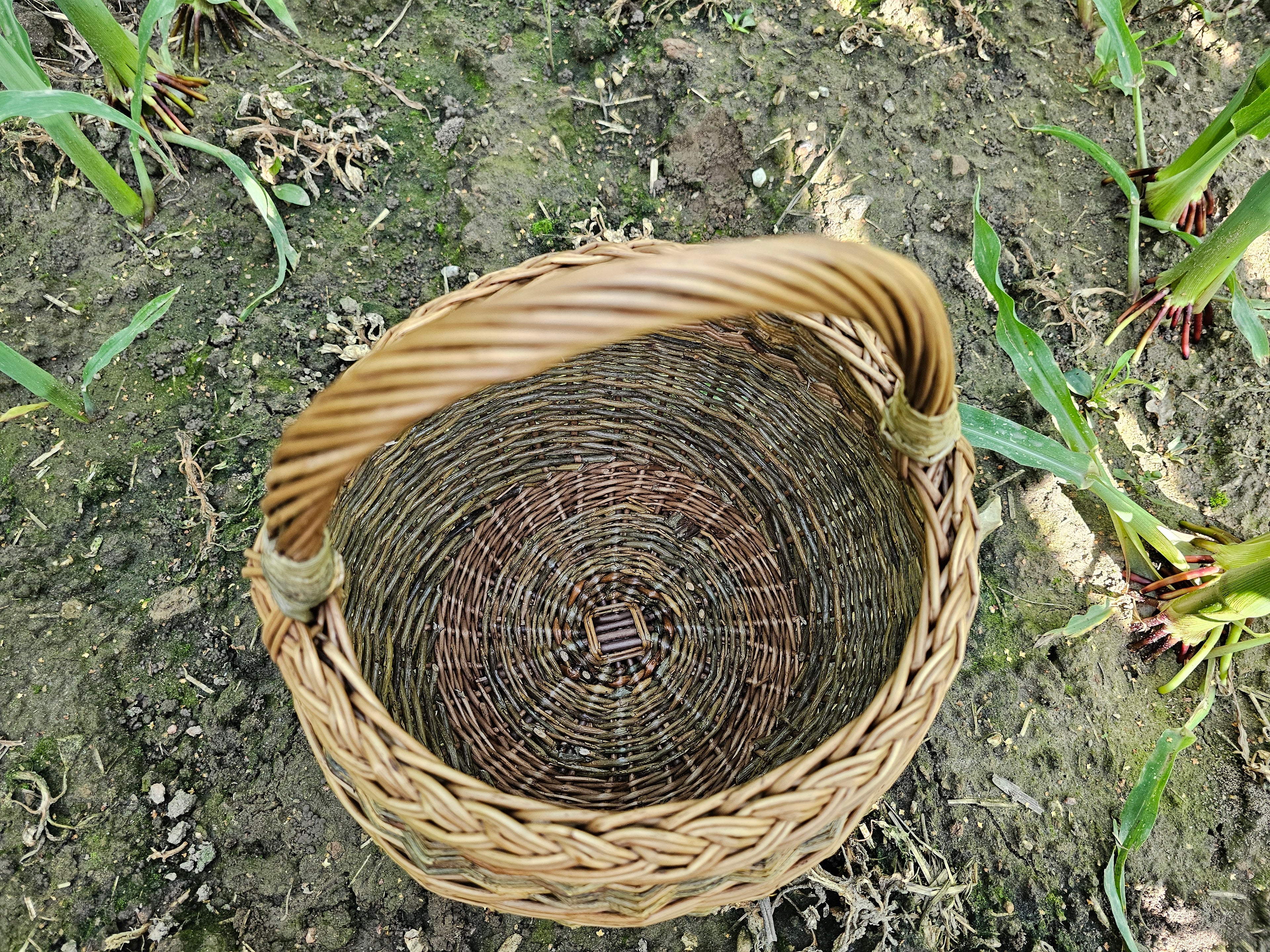Wicker basket 049b