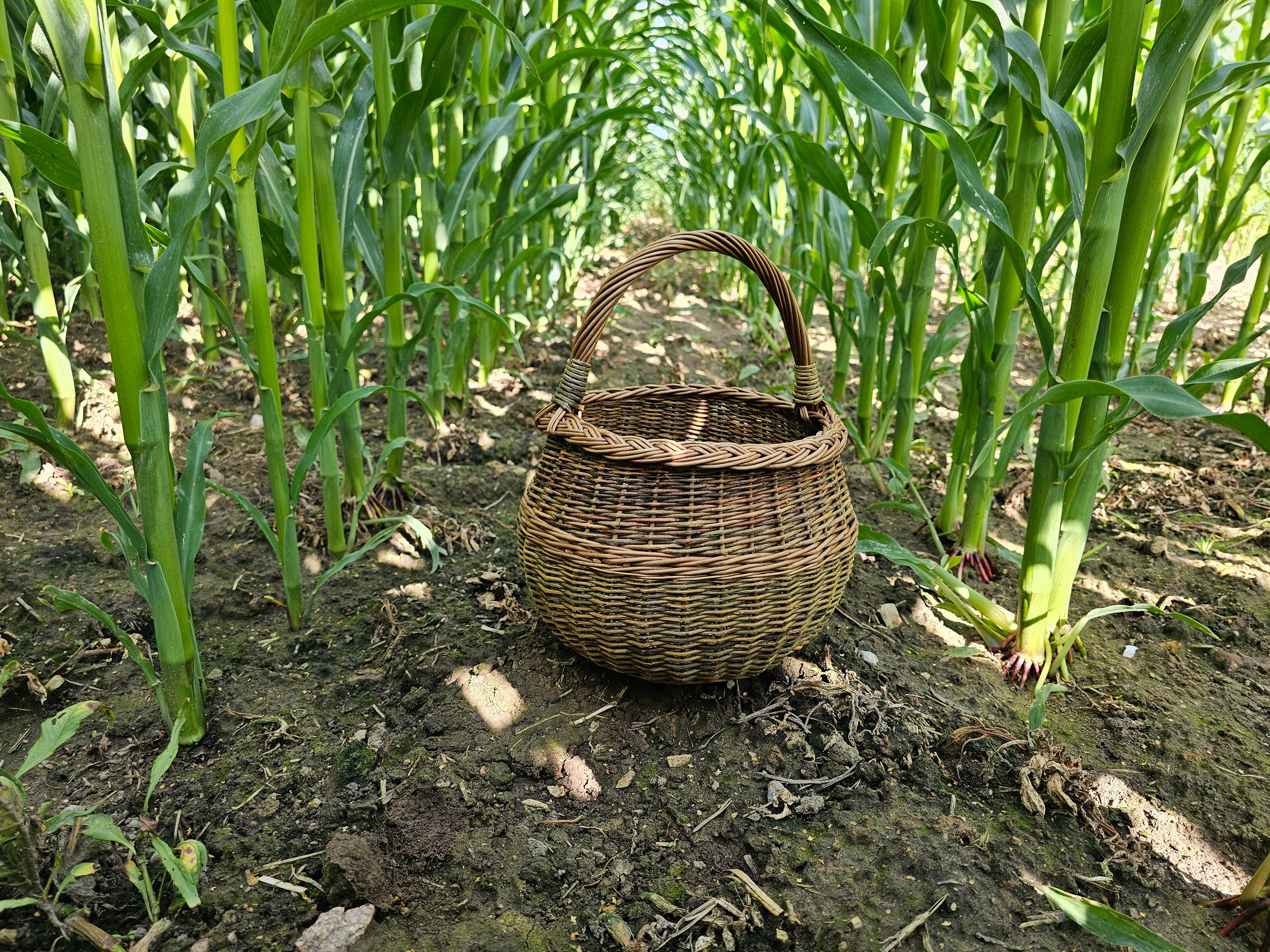Wicker basket 049b