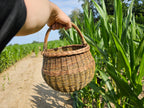 Round Wicker Storage Basket