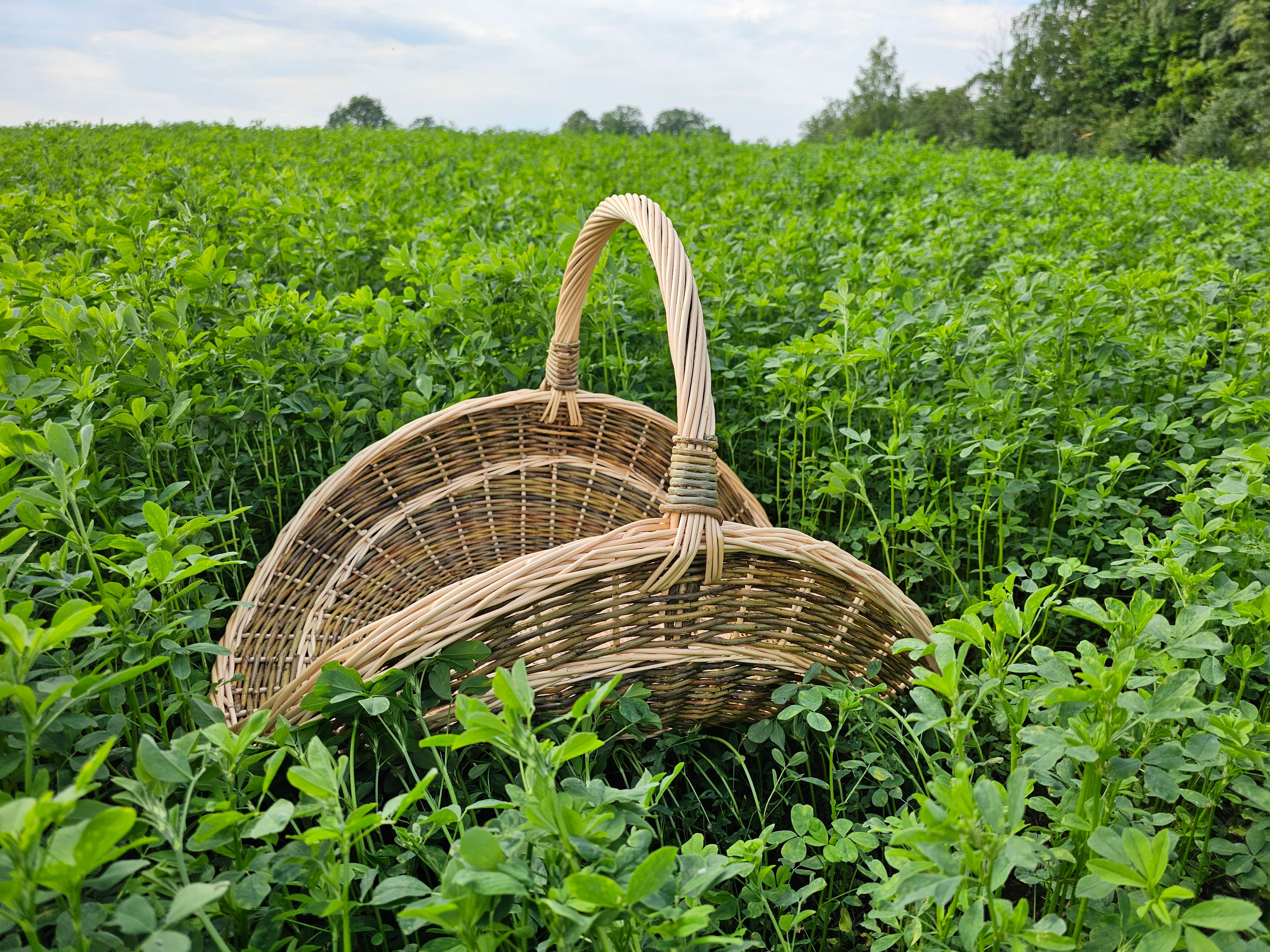 Willow Flower Girl Basket 031b-3