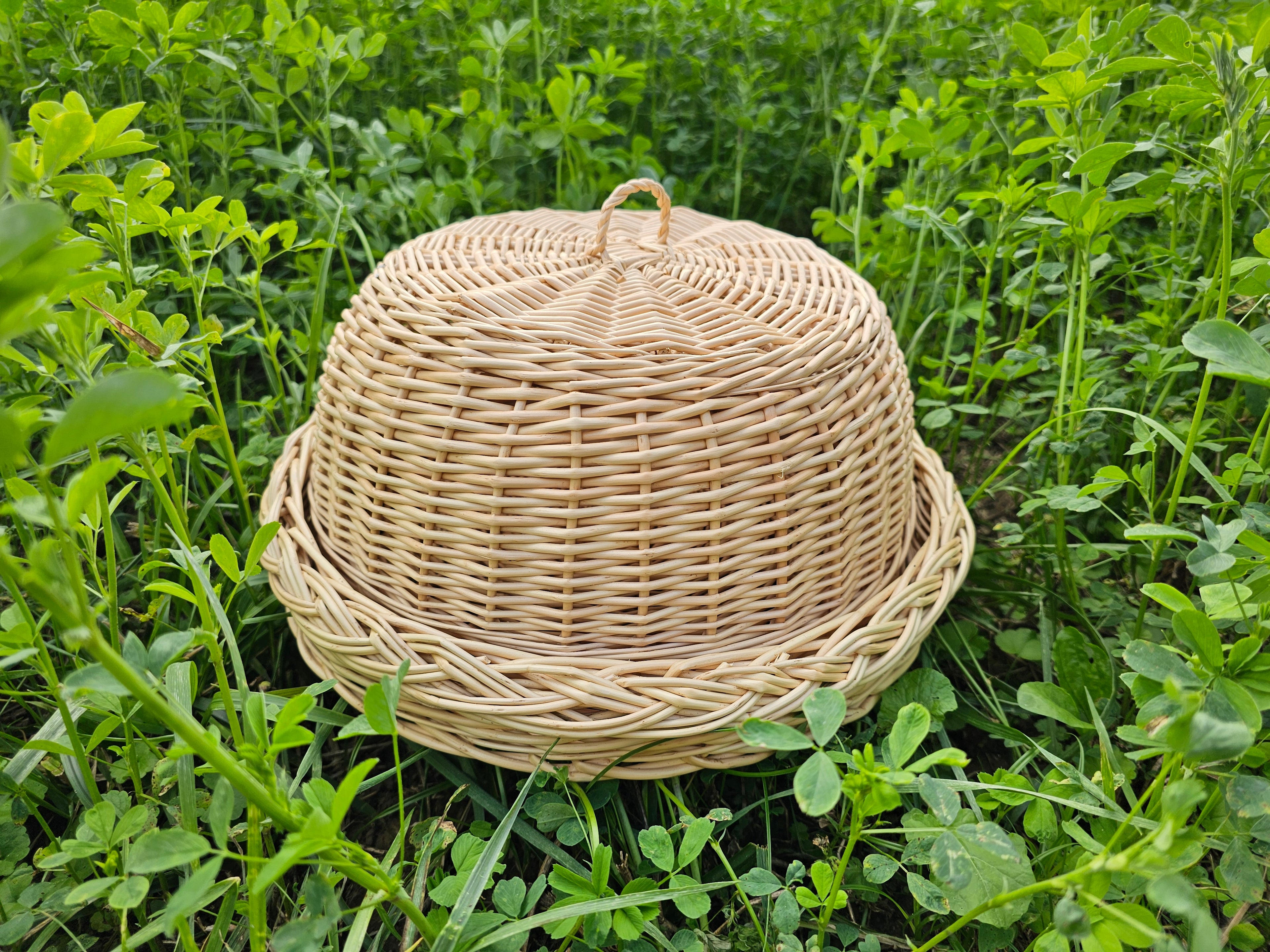 Wicker food cover 017b