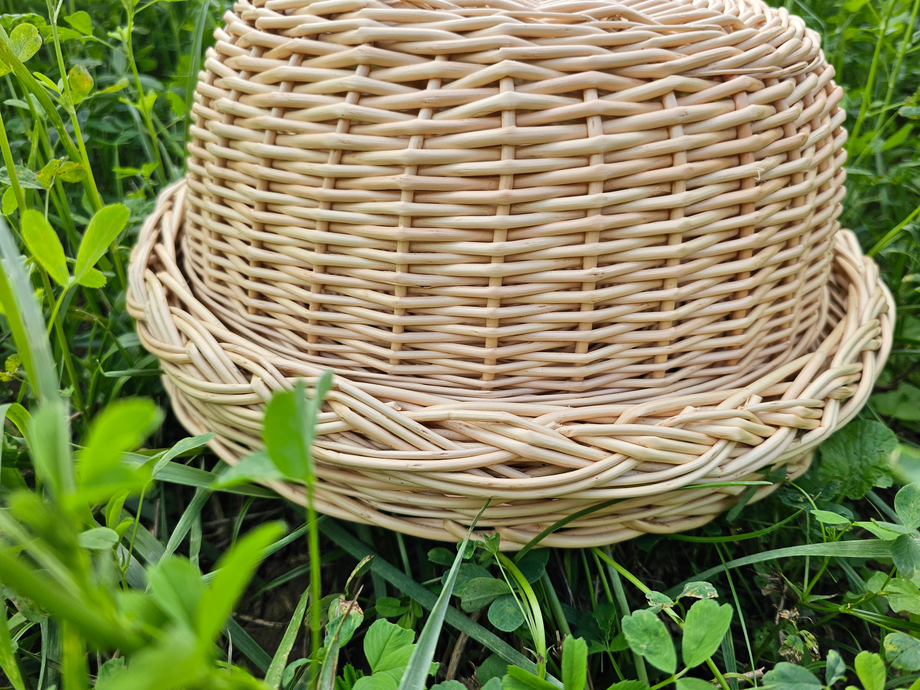 Wicker food cover 017b