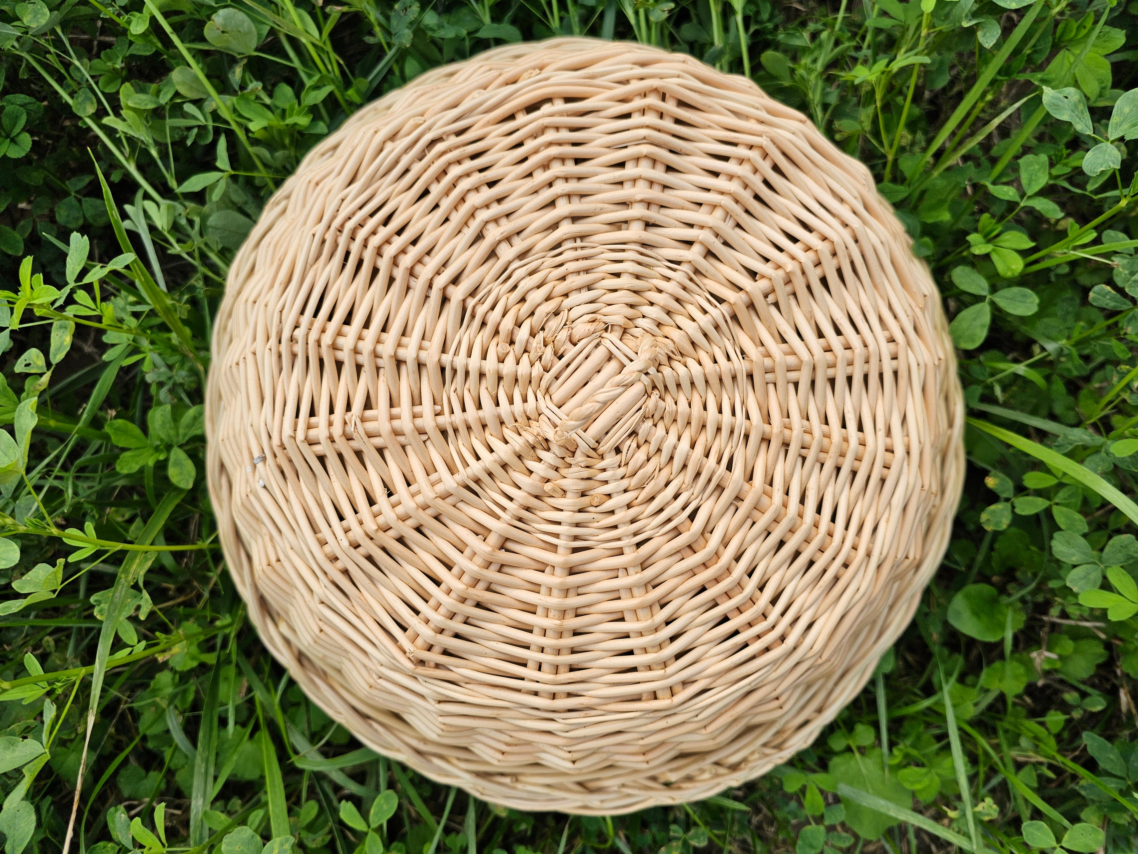 Wicker food cover 017b