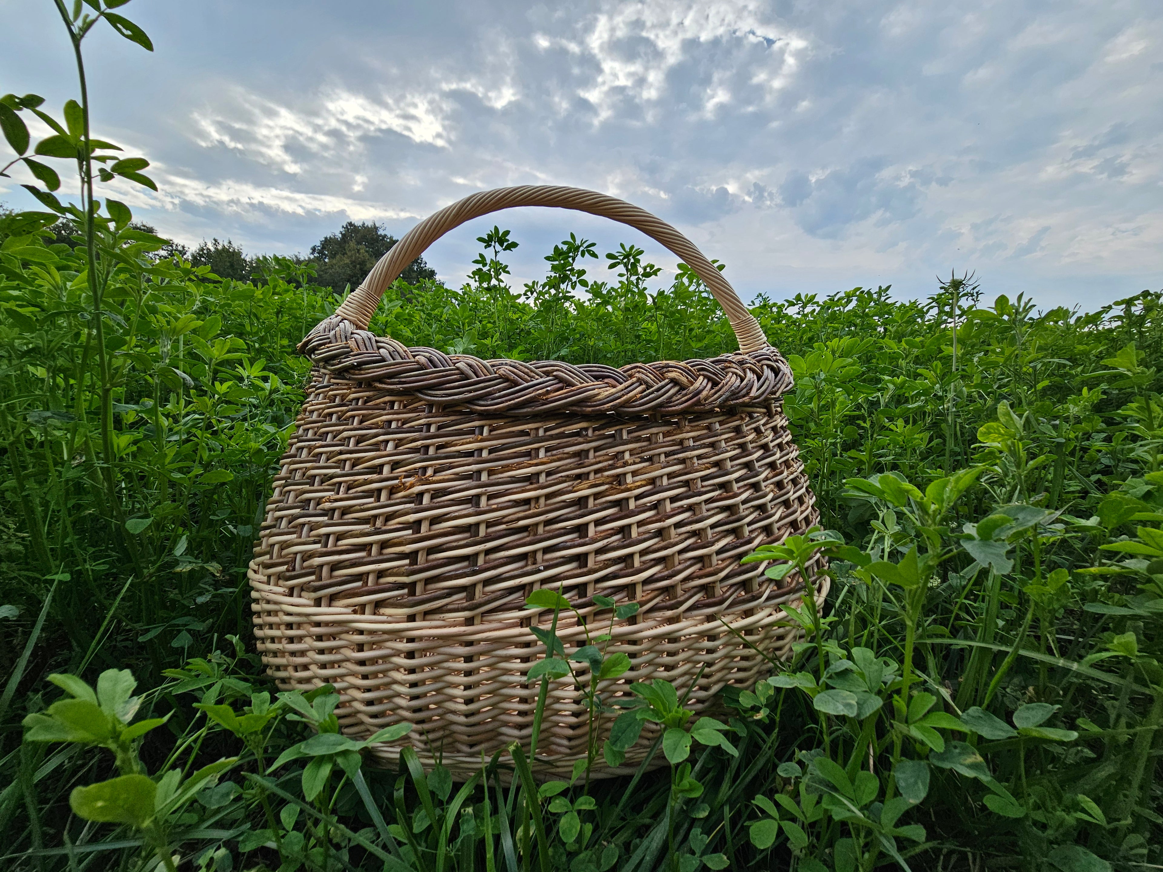 Wicker basket 015r
