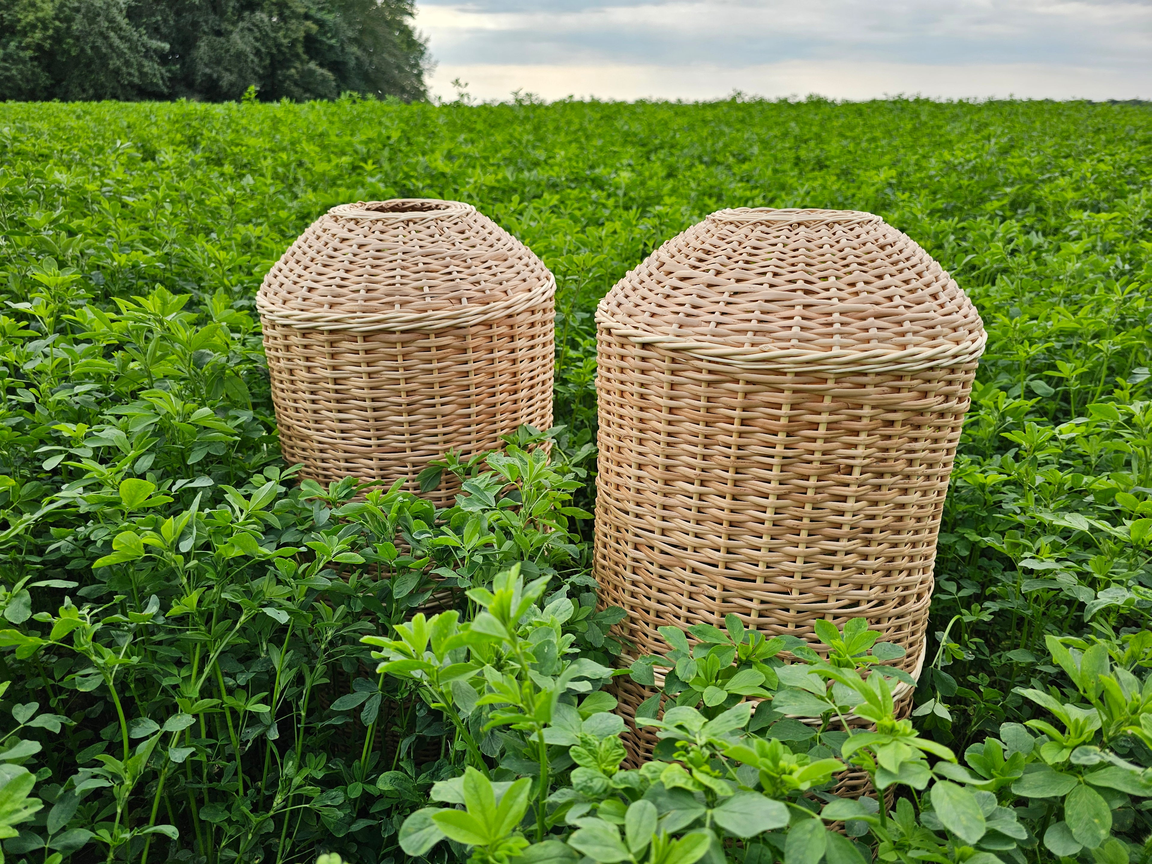 Wicker gas cylinder cover 012r