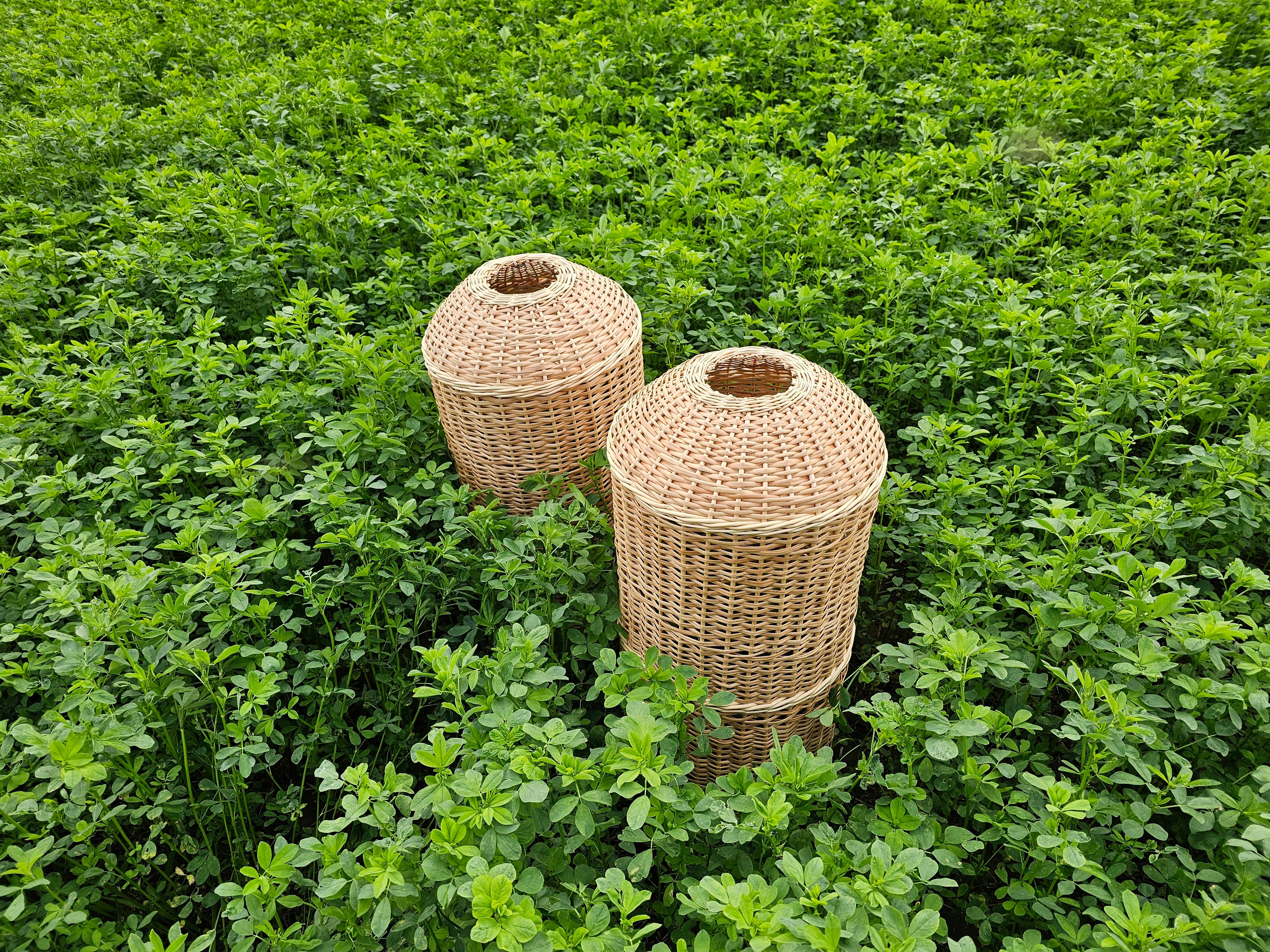 Wicker gas cylinder cover 012r