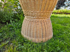 Display Basket 001r