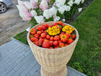 Display Basket 001r