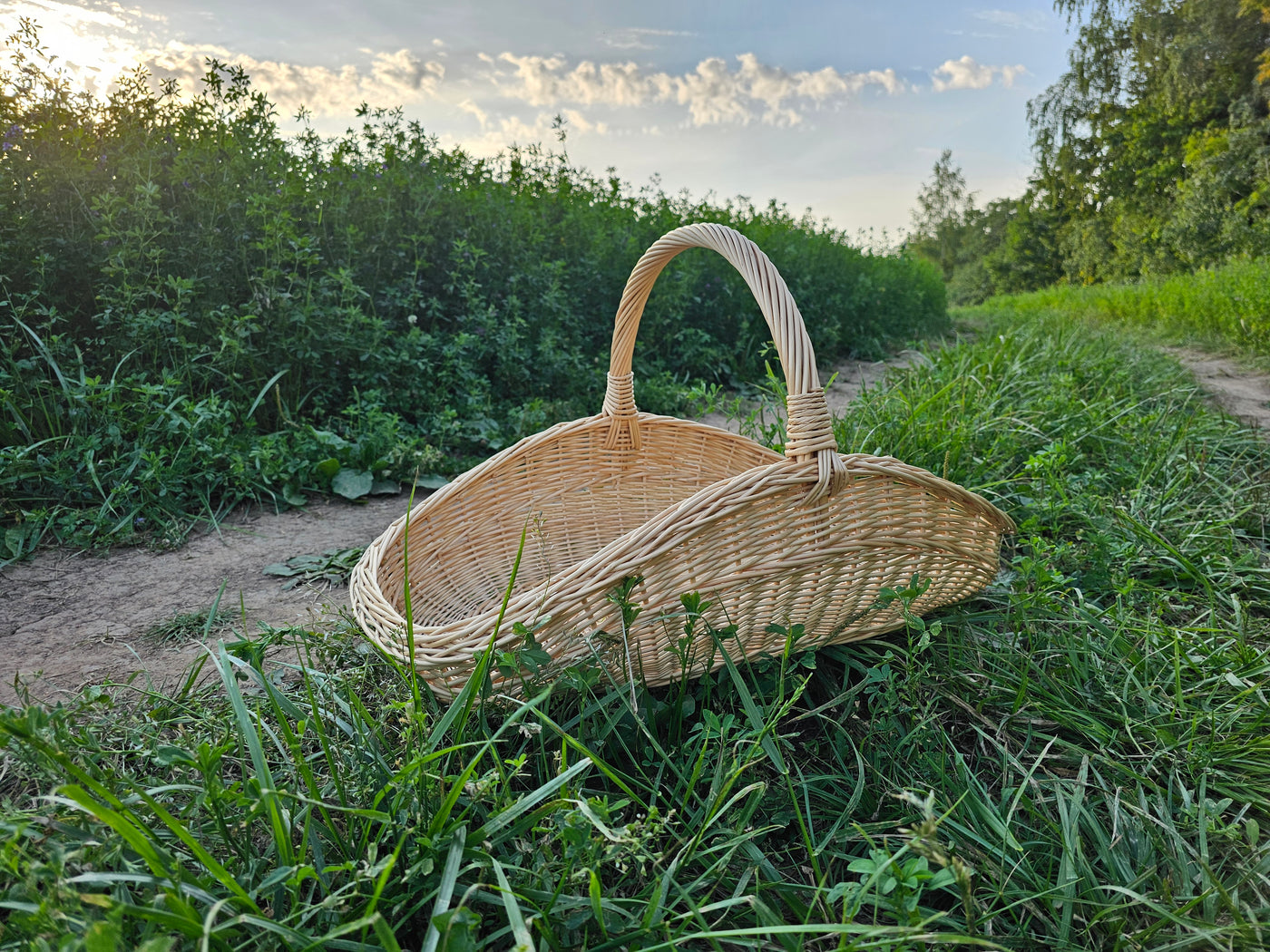 Foraging & harvest