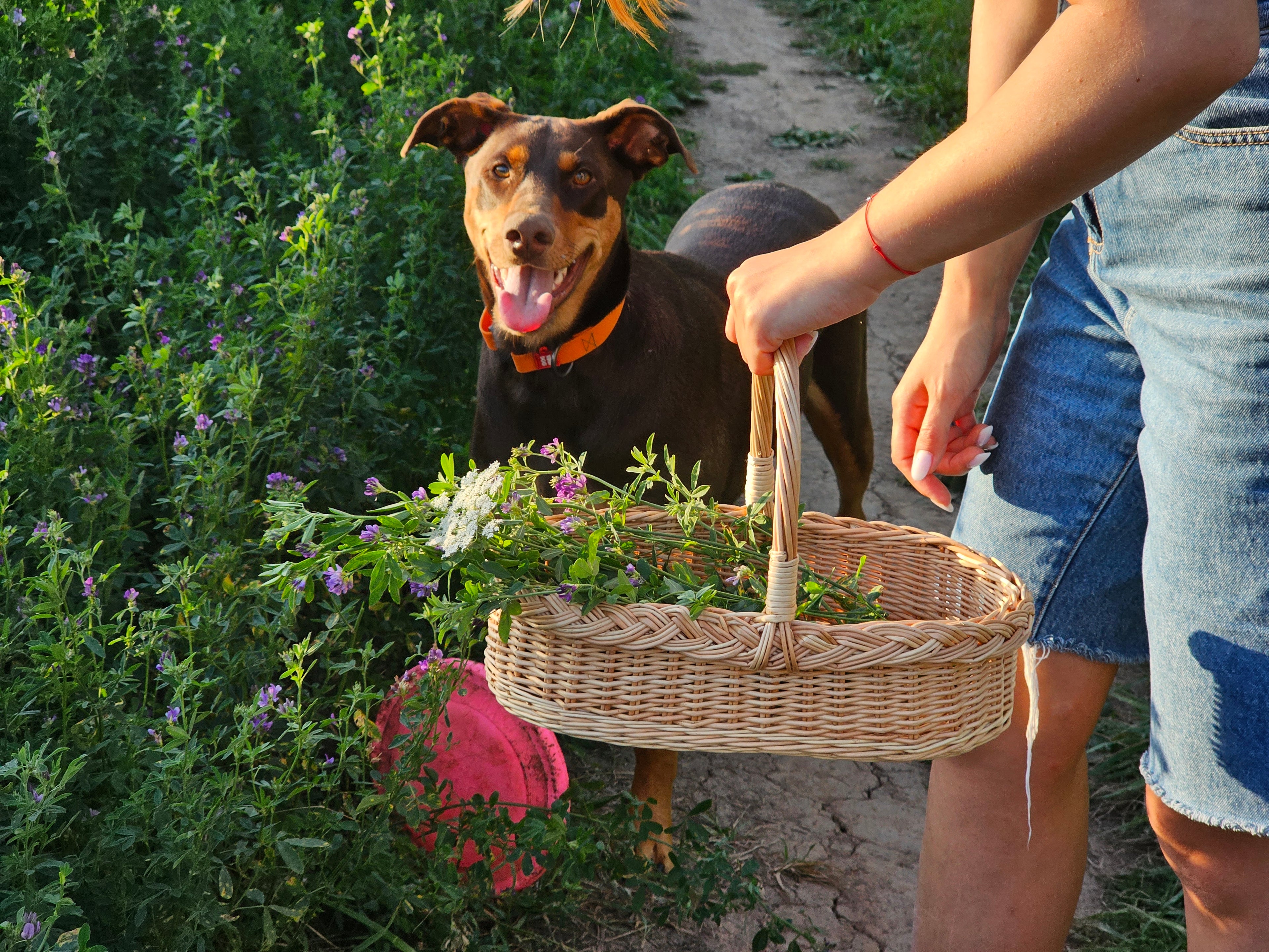 Wicker Flower Gathering Trug