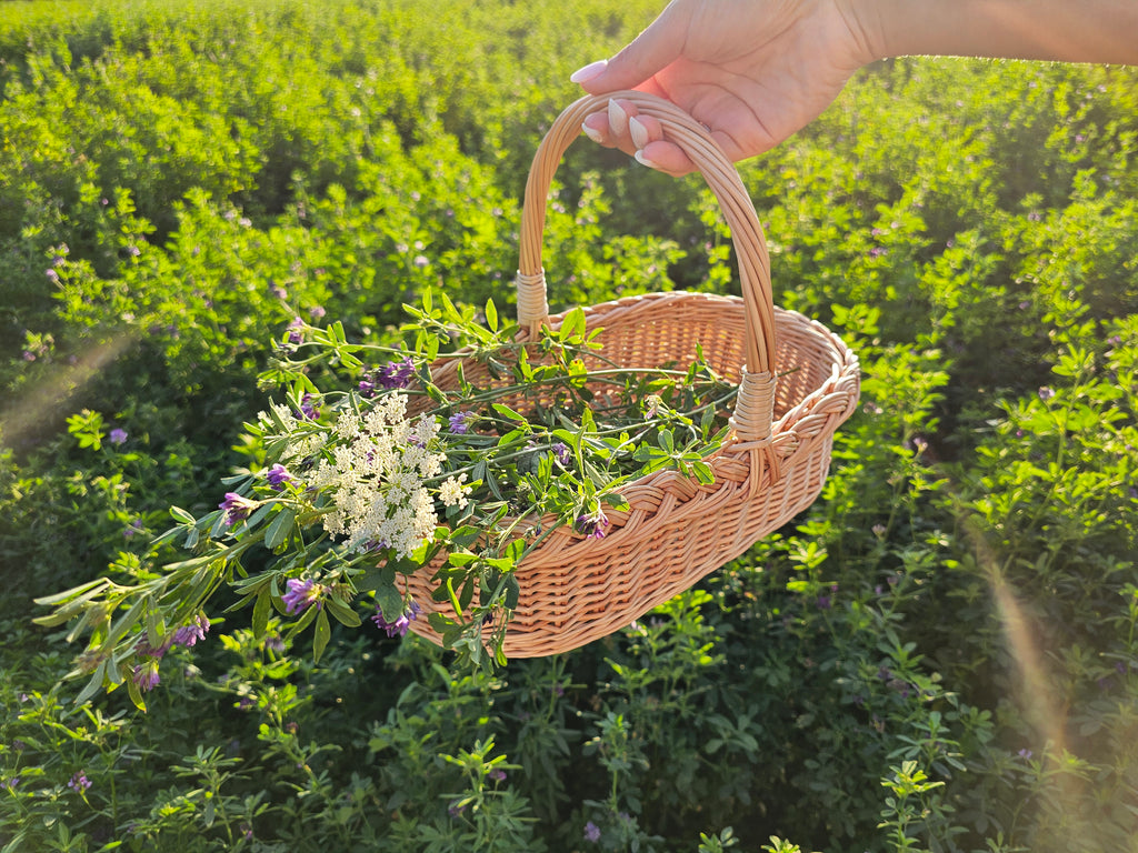 Wicker Flower Gathering Trug