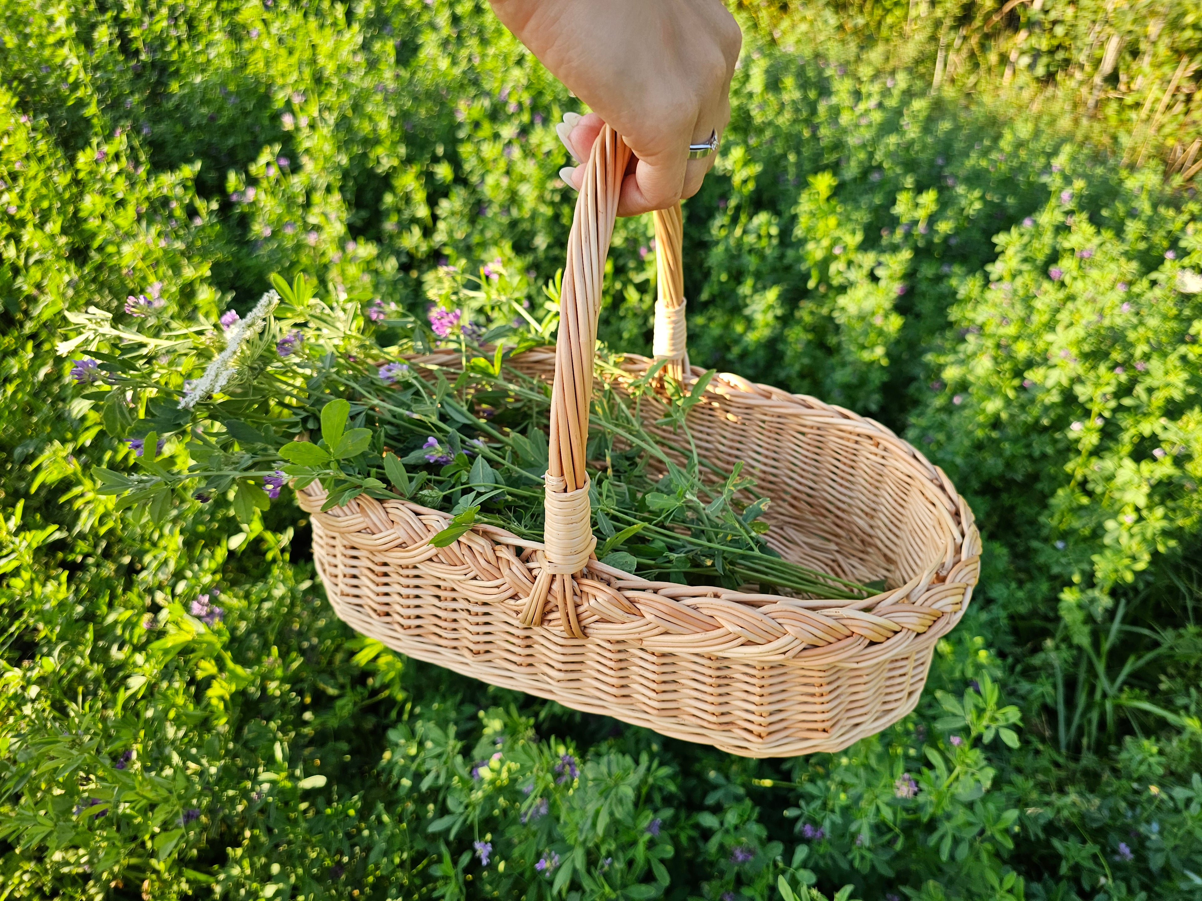 Wicker Flower Gathering Trug