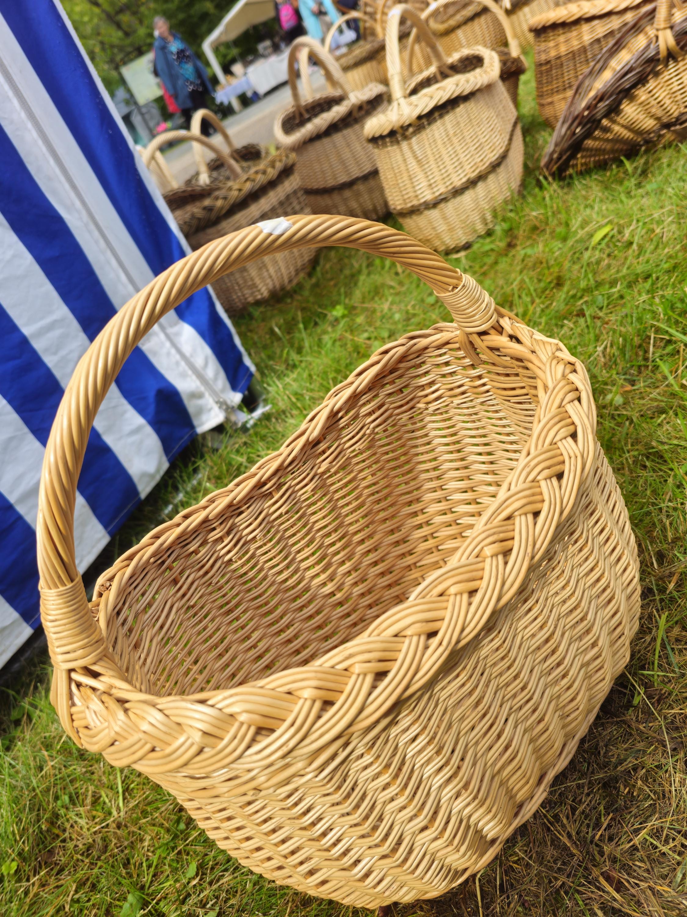 Wicker Basket with Braided Rim