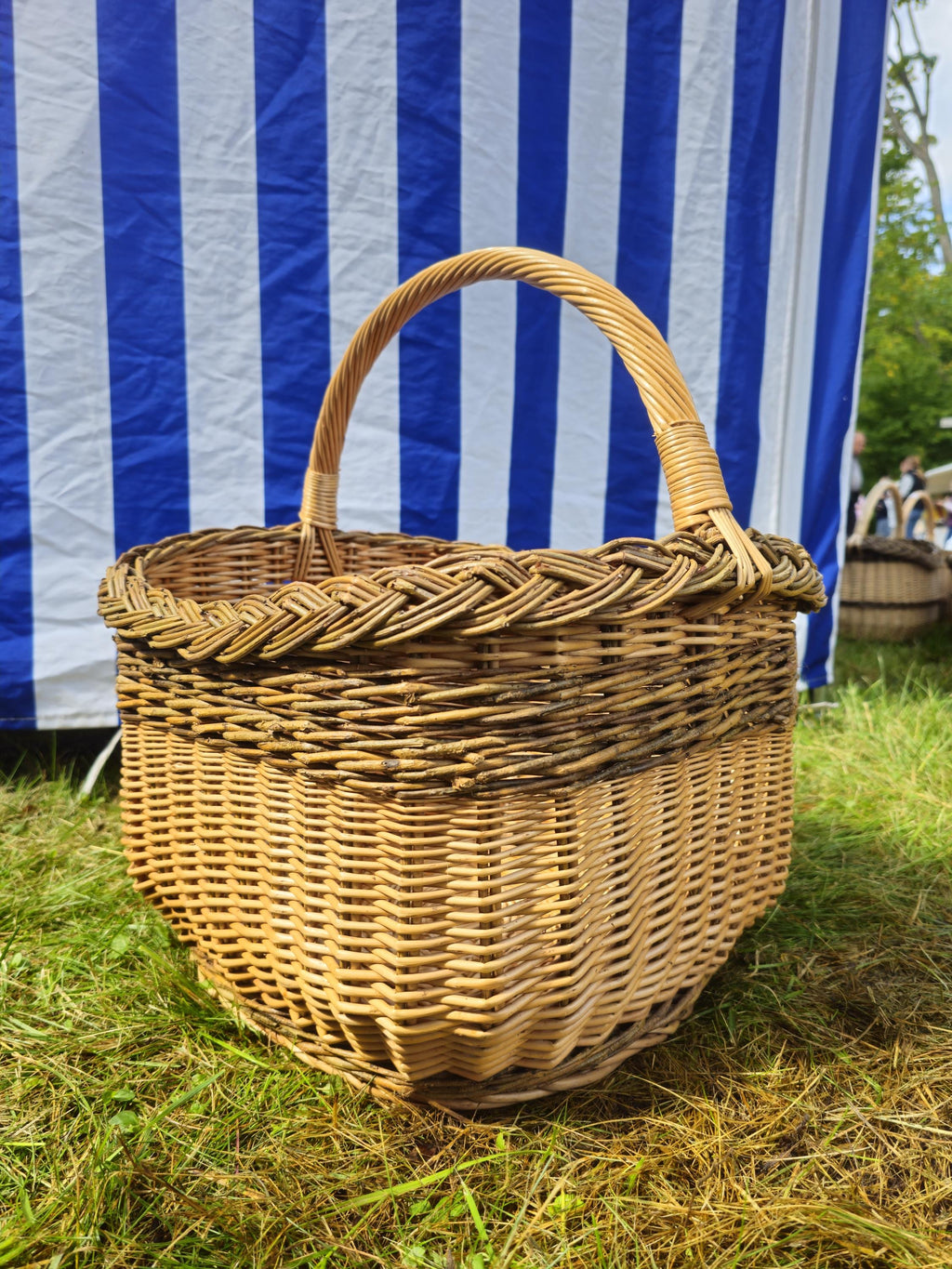 Wicker Mushroom Basket with Braided Rim