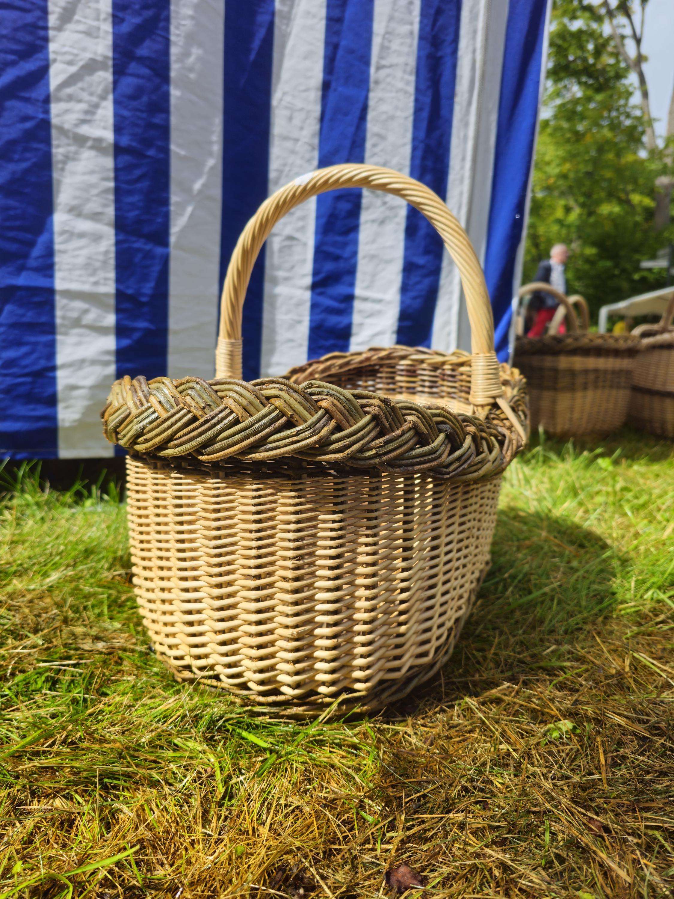 Wicker Foraging Basket with Natural Braided Rim