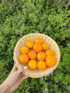 Rustic Wicker Plate