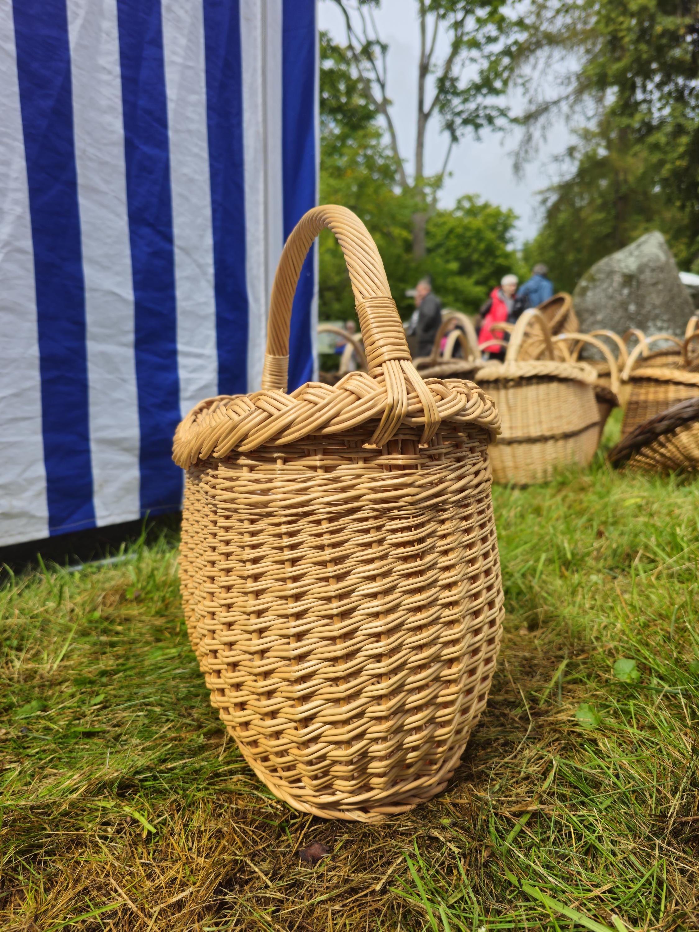 Wicker Basket with Braided Rim