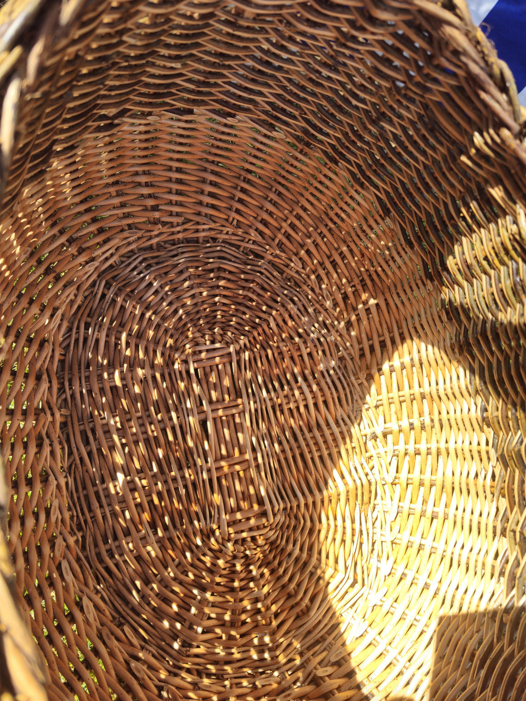 Wicker Mushroom Basket with Braided Rim