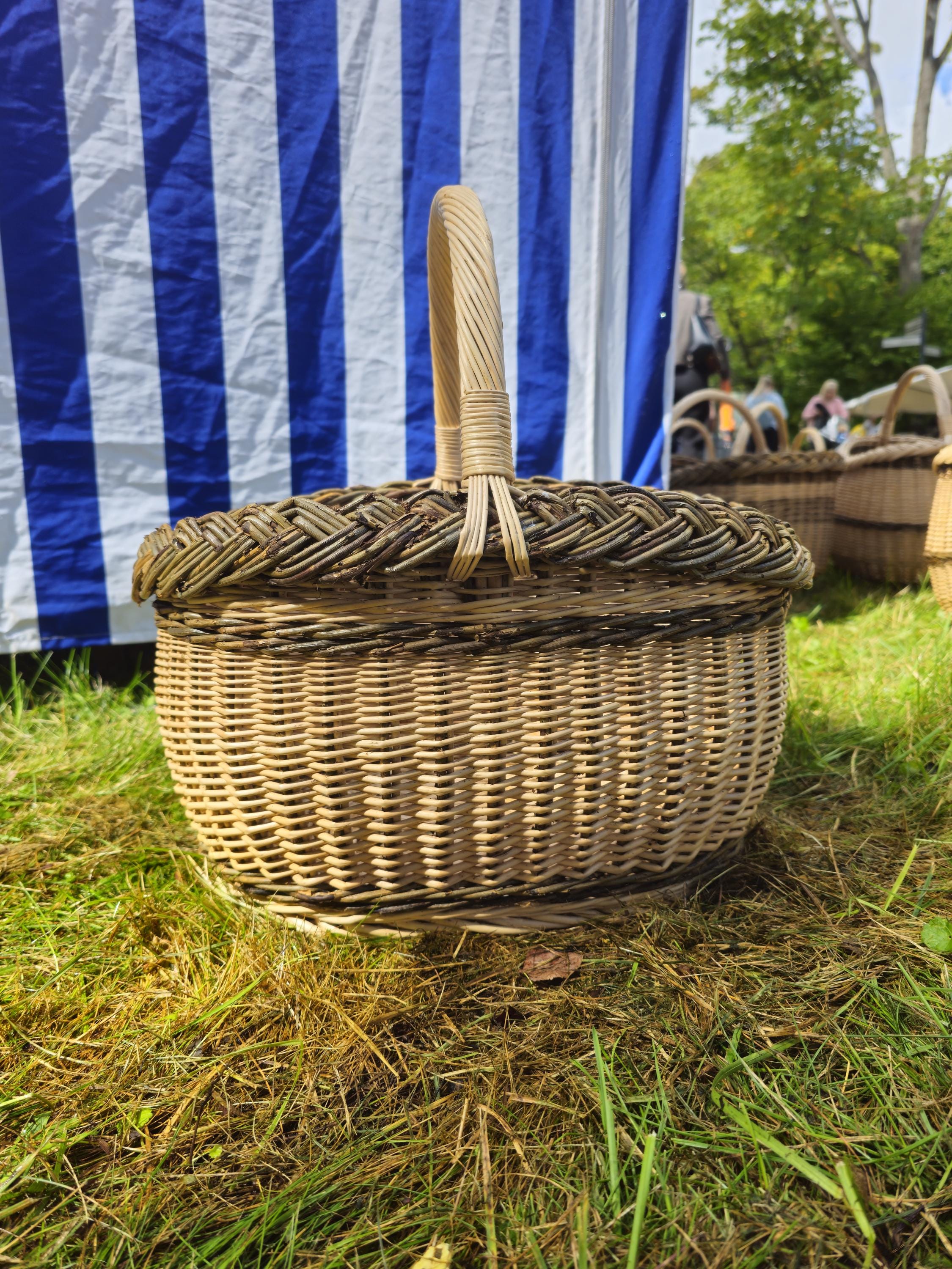 Wicker Oval Basket with Braided Rim