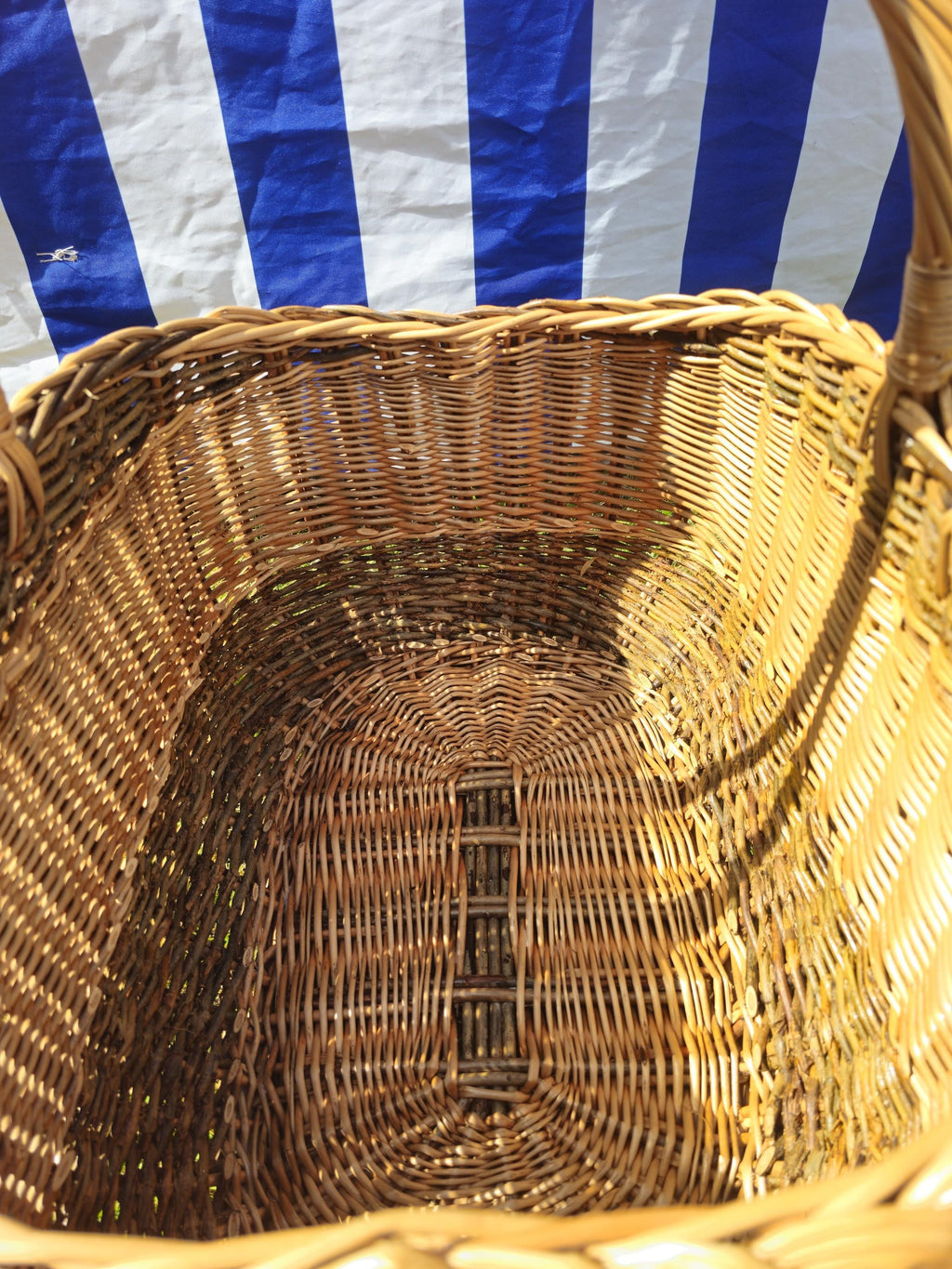 Wicker Mushroom Basket with Thick Braided Edge