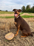 Rustic Bread Wicker Plate