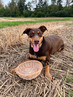 Rustic Bread Wicker Plate