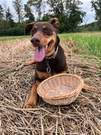 Rustic Bread Wicker Plate