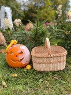 Handmade Willow Basket with Handle