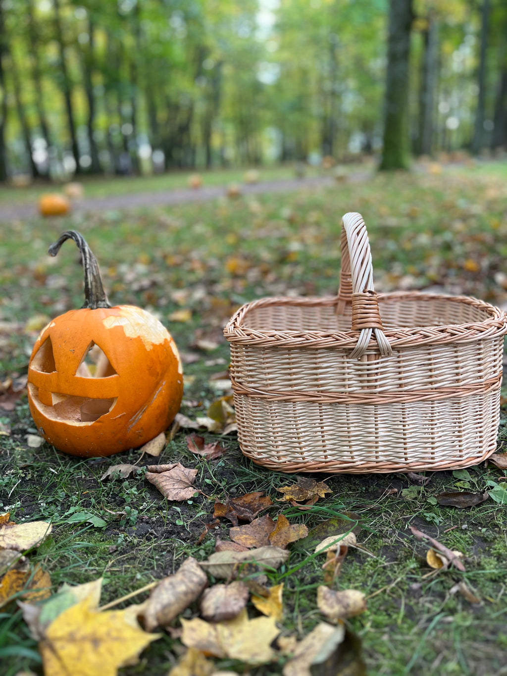 Handmade Willow Basket with Handle