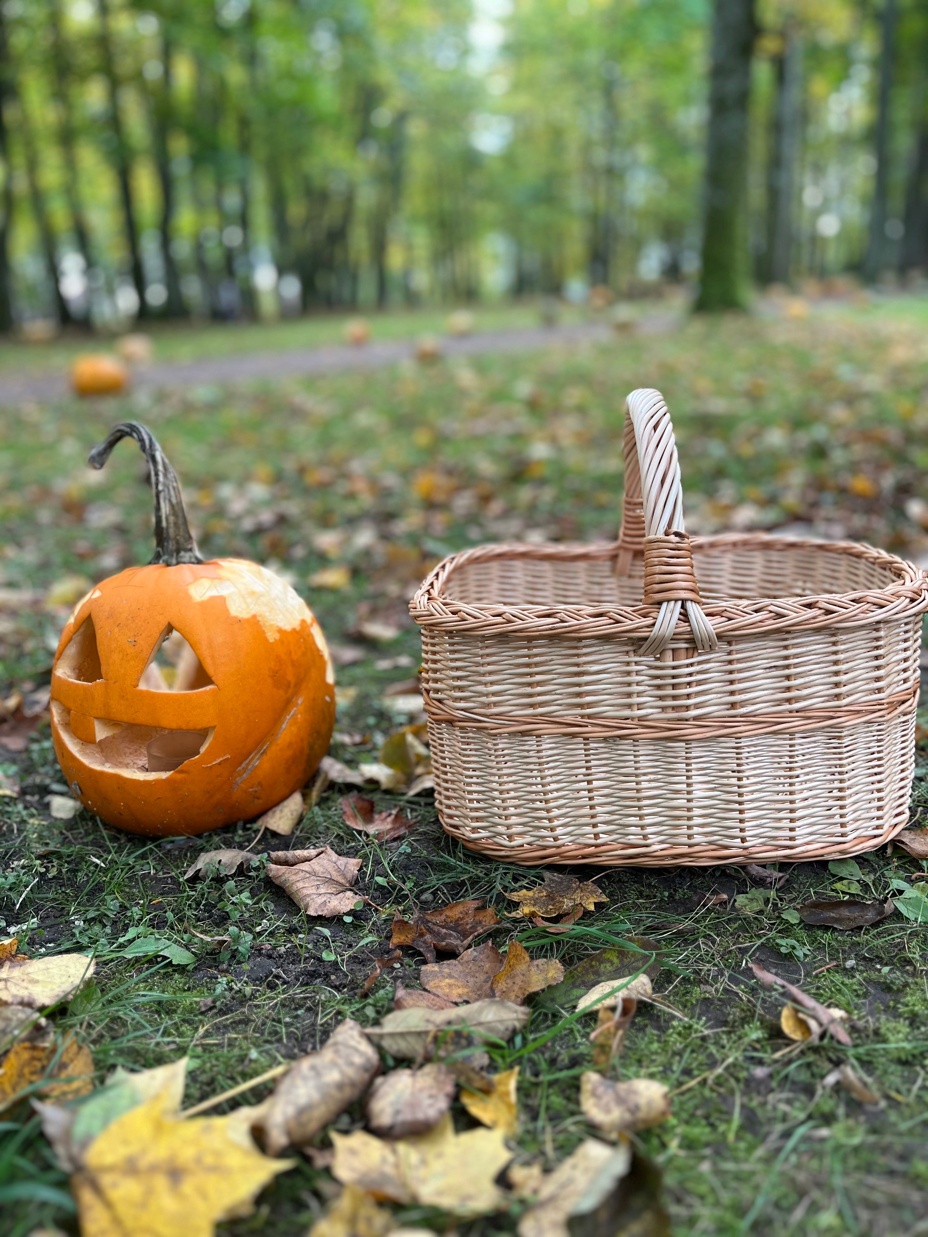 Handmade Willow Basket with Handle