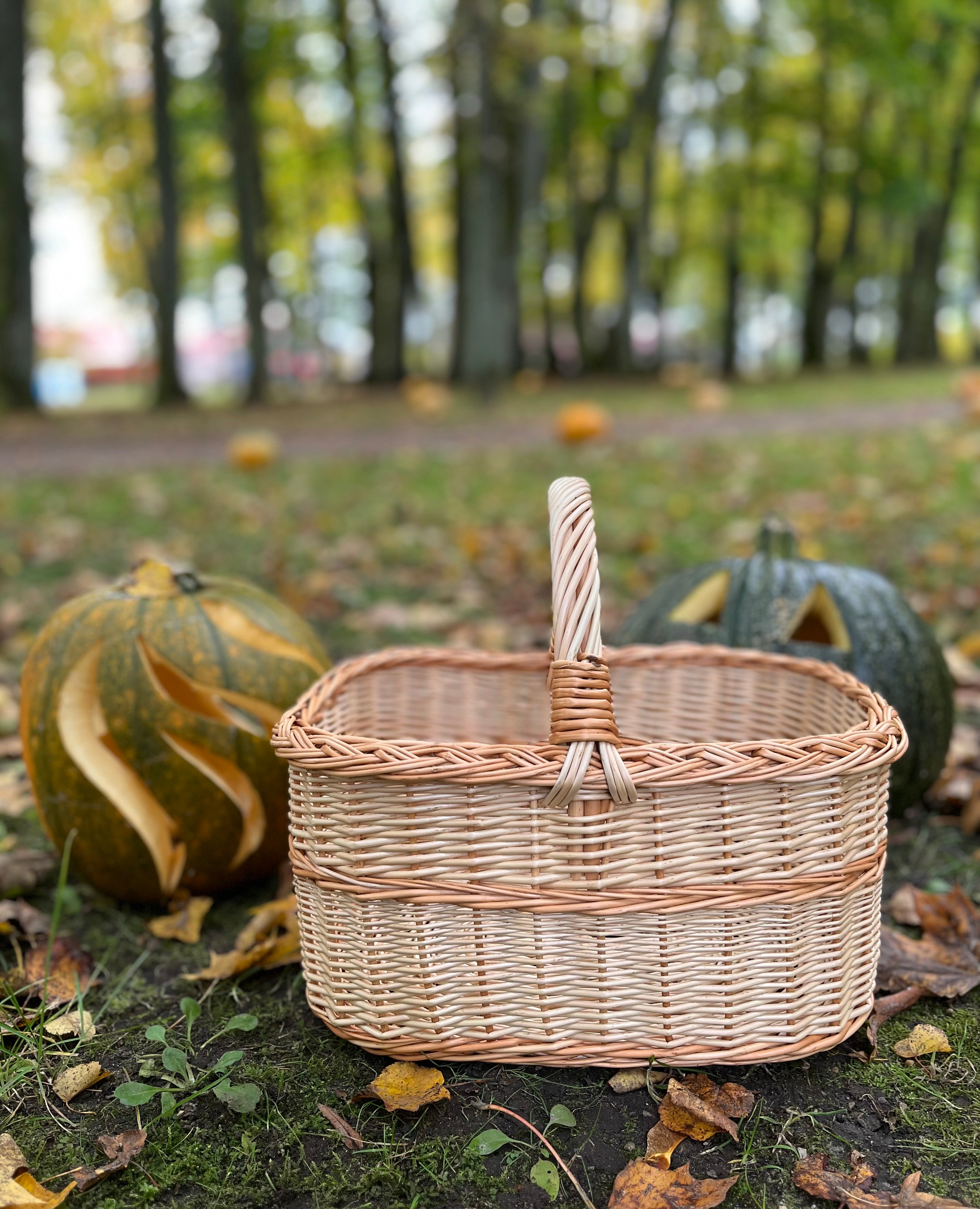 Handmade Willow Basket with Handle
