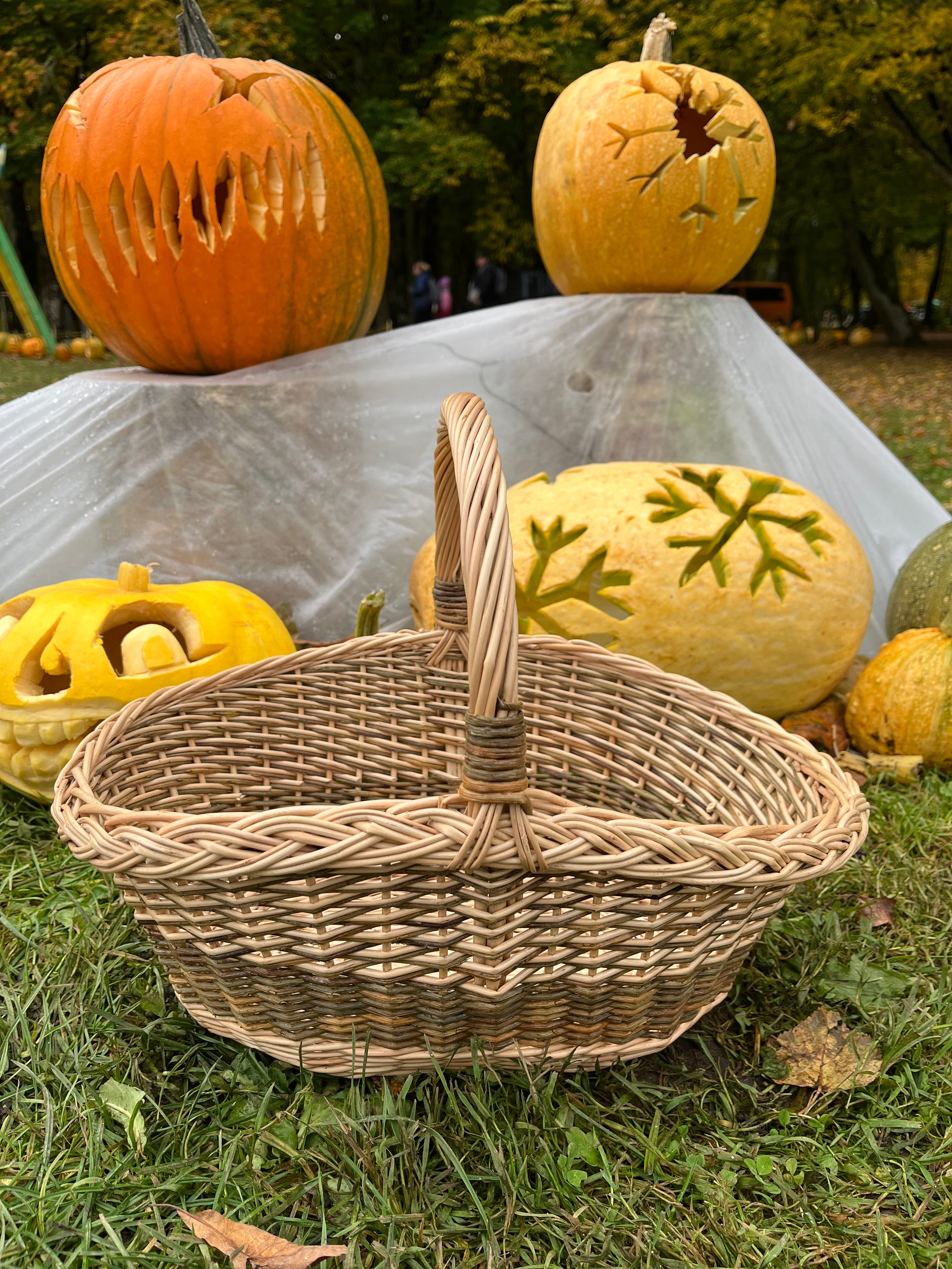 Handwoven Wicker Basket