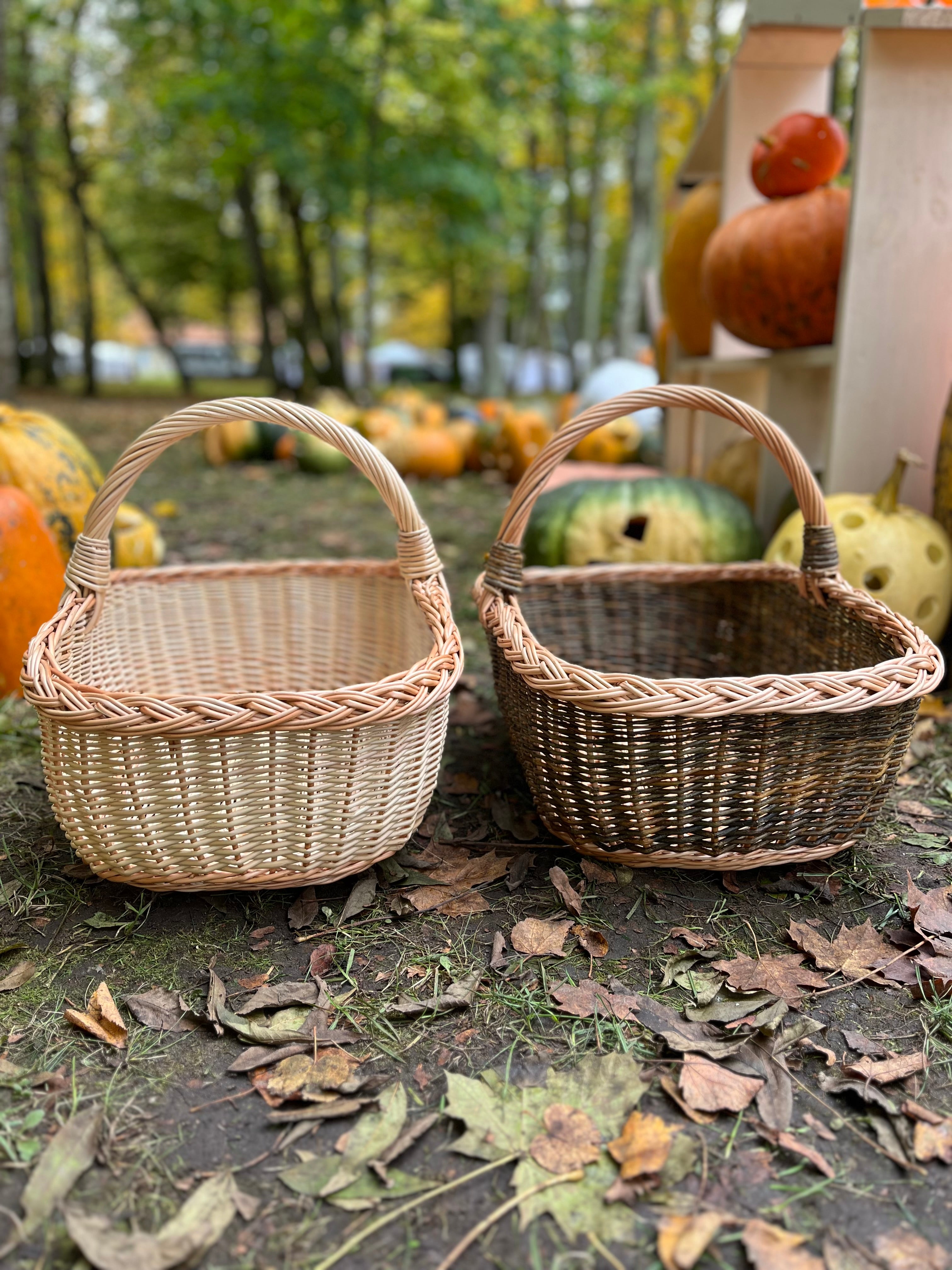 Rectangular Wicker Basket with Braided Handle