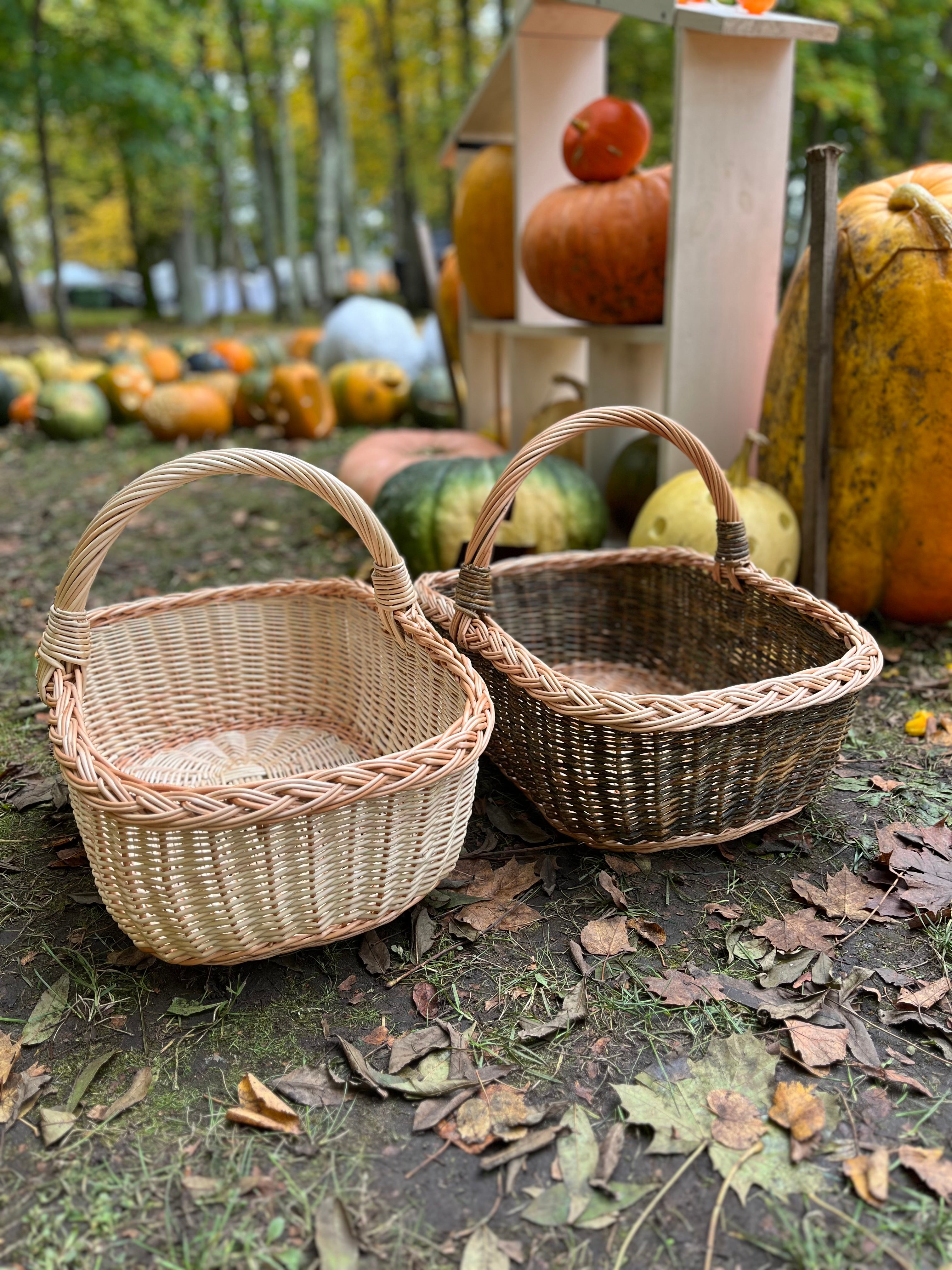 Rectangular Wicker Basket with Braided Handle