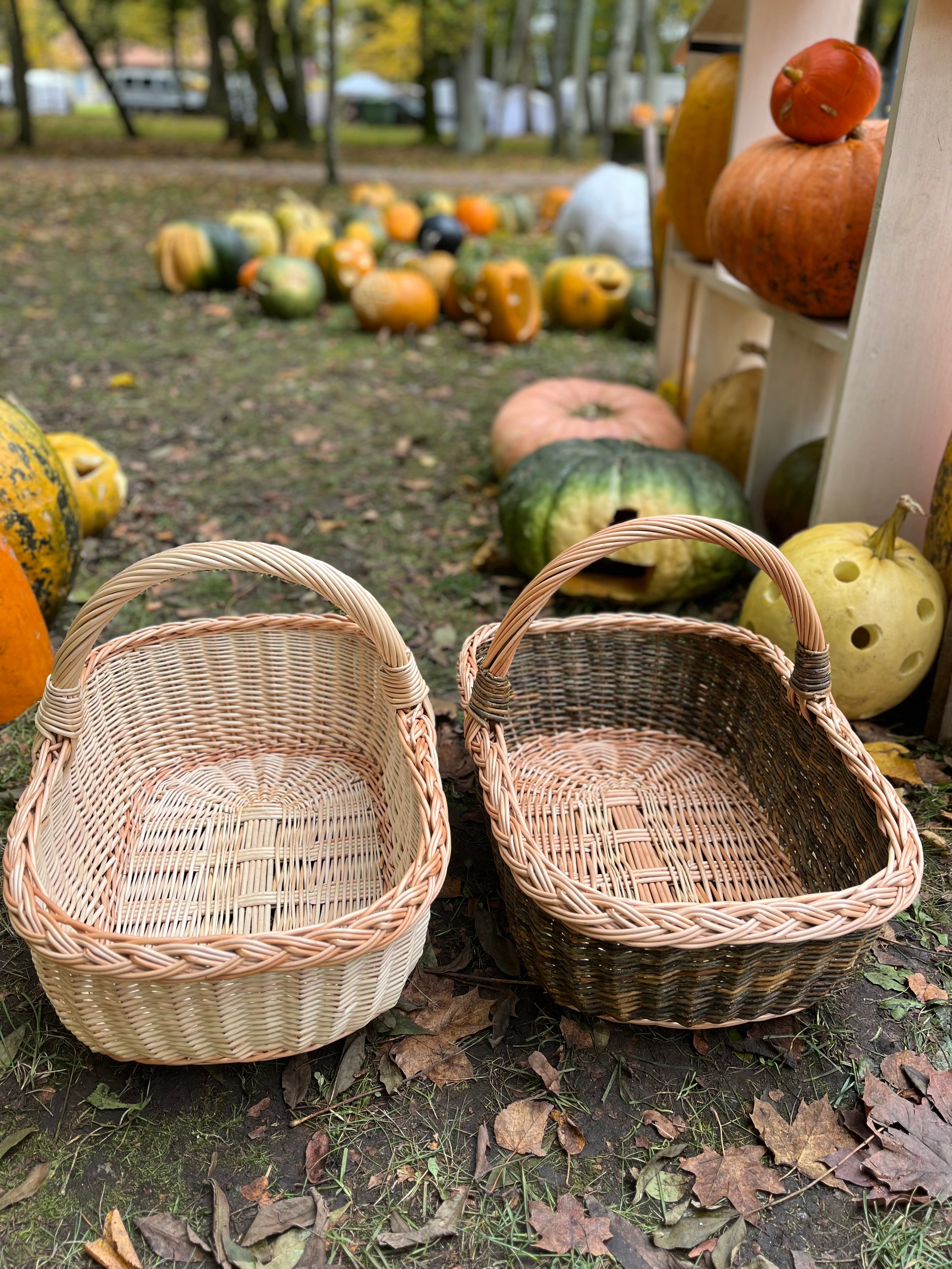 Rectangular Wicker Basket with Braided Handle