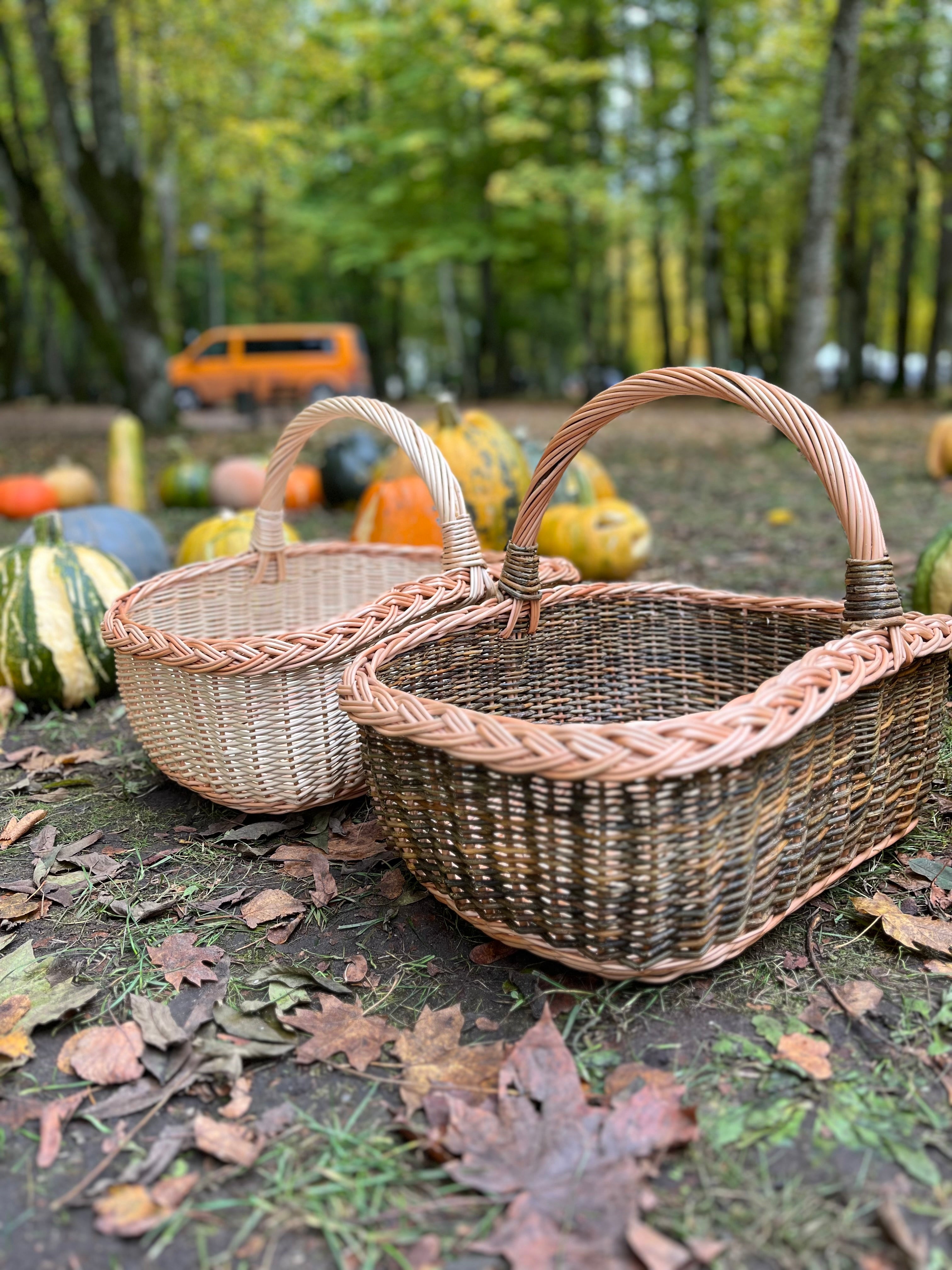 Rectangular Wicker Basket with Braided Handle