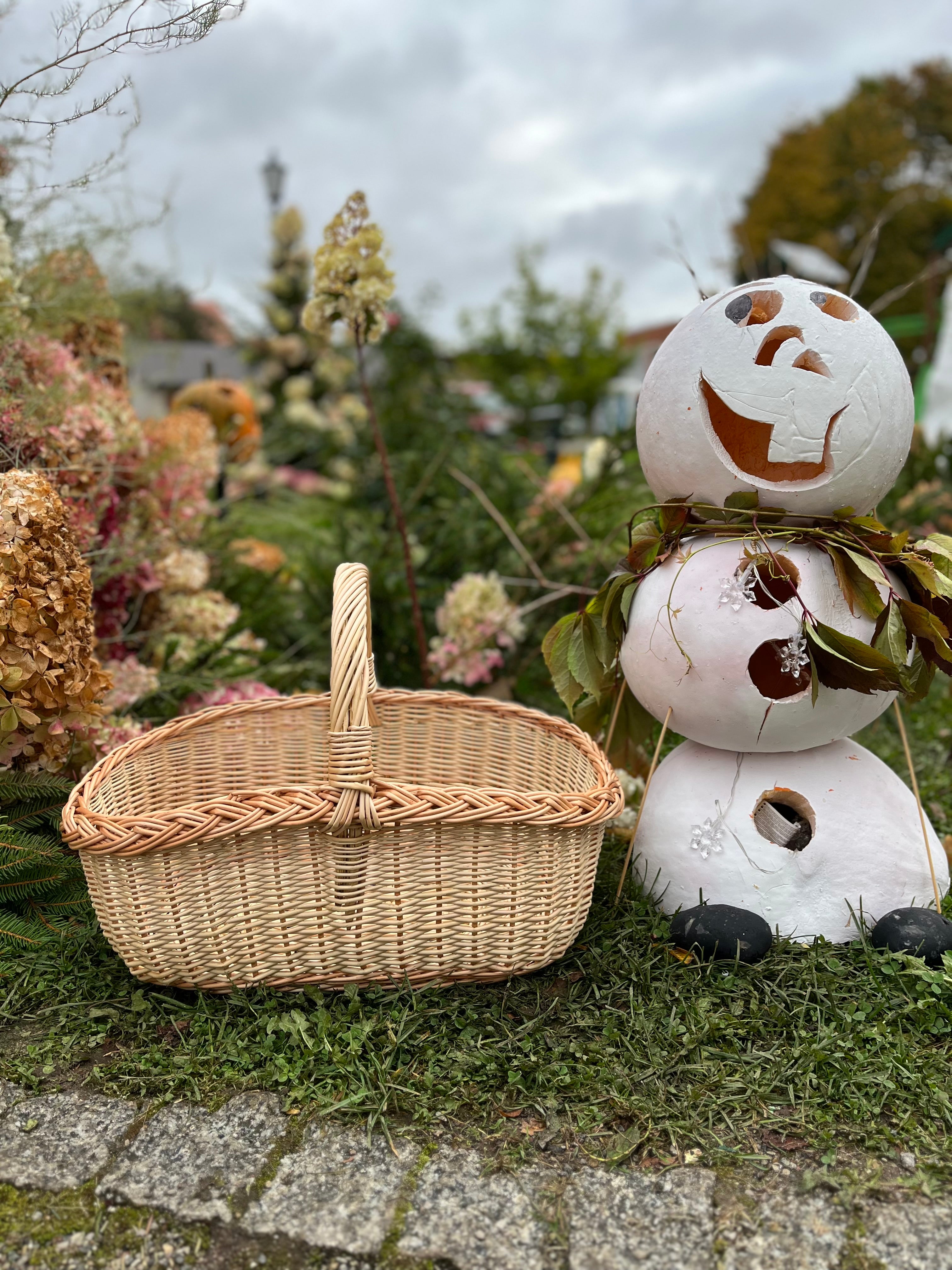Rectangular Wicker Basket with Braided Handle