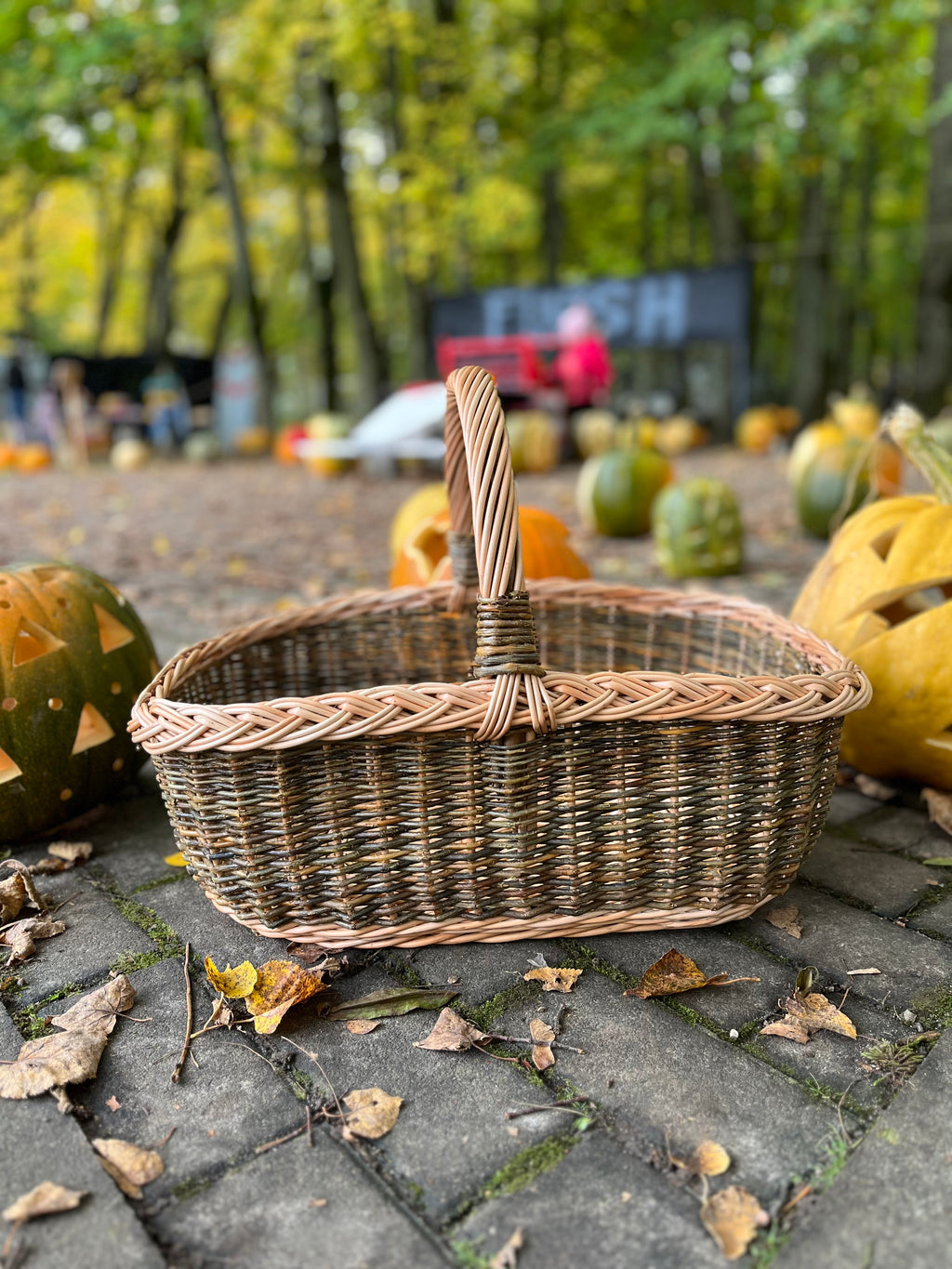 Rectangular Wicker Basket with Braided Handle