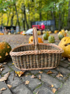 Rectangular Wicker Basket with Braided Handle