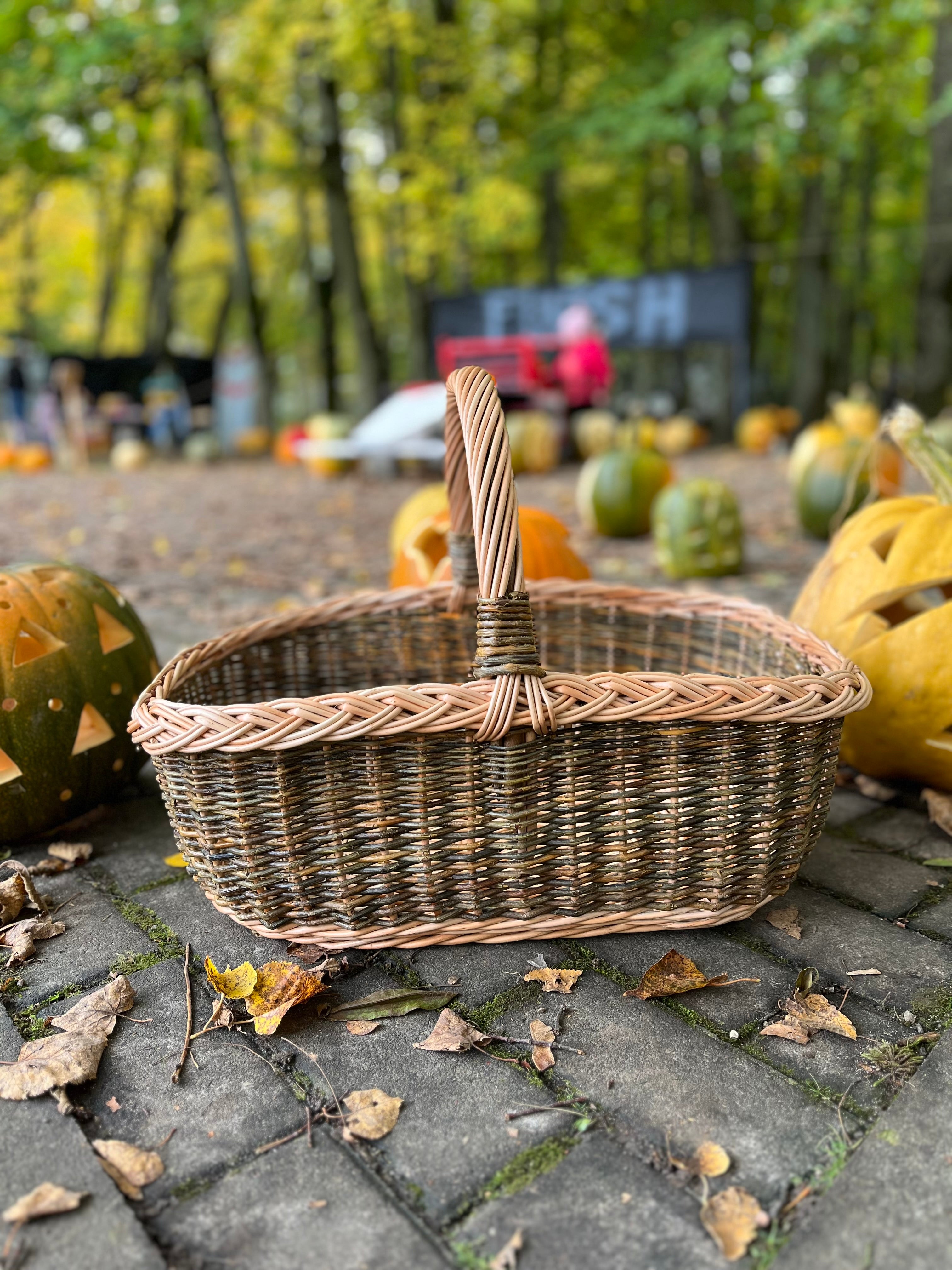 Rectangular Wicker Basket with Braided Handle