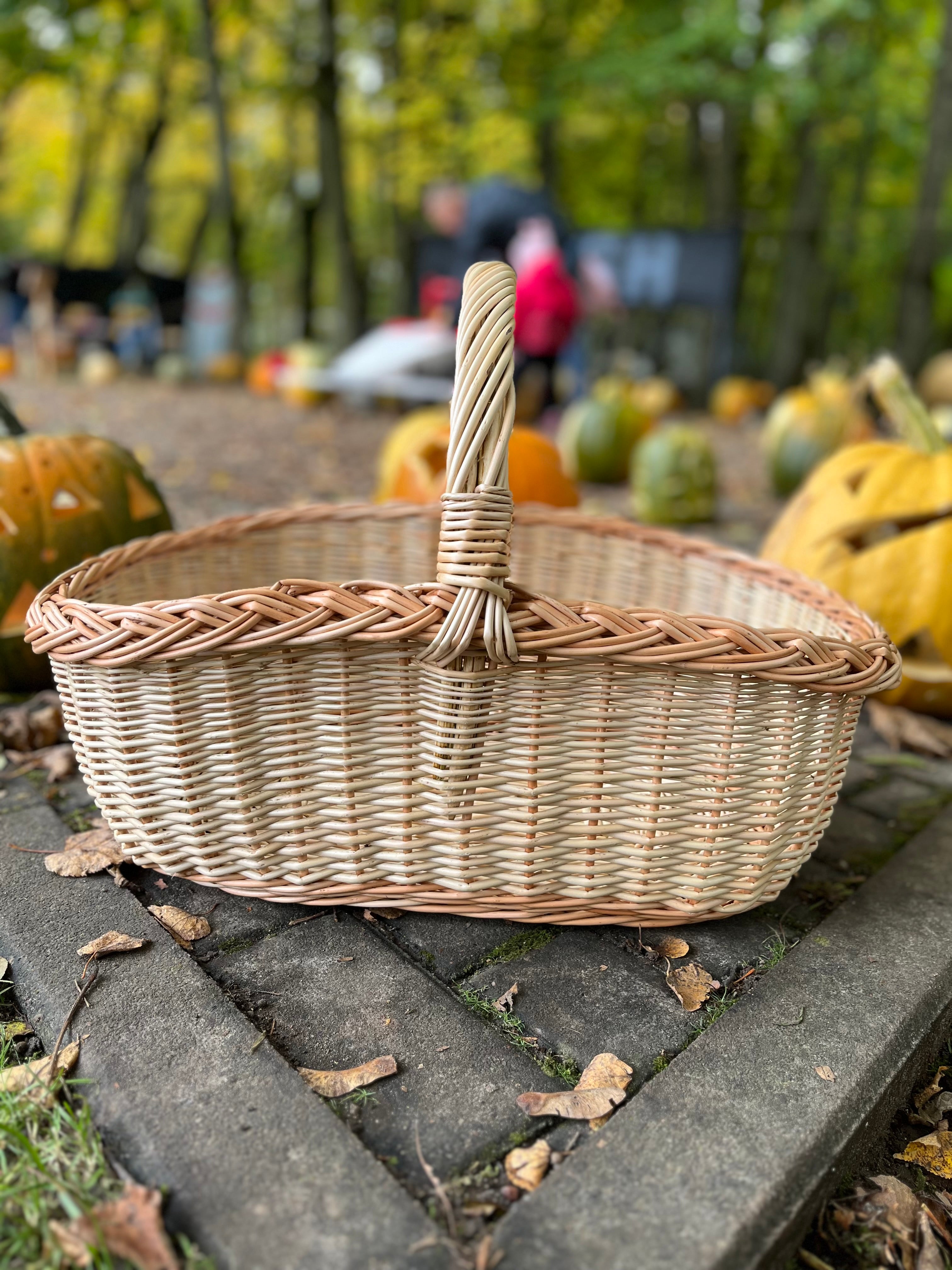Rectangular Wicker Basket with Braided Handle