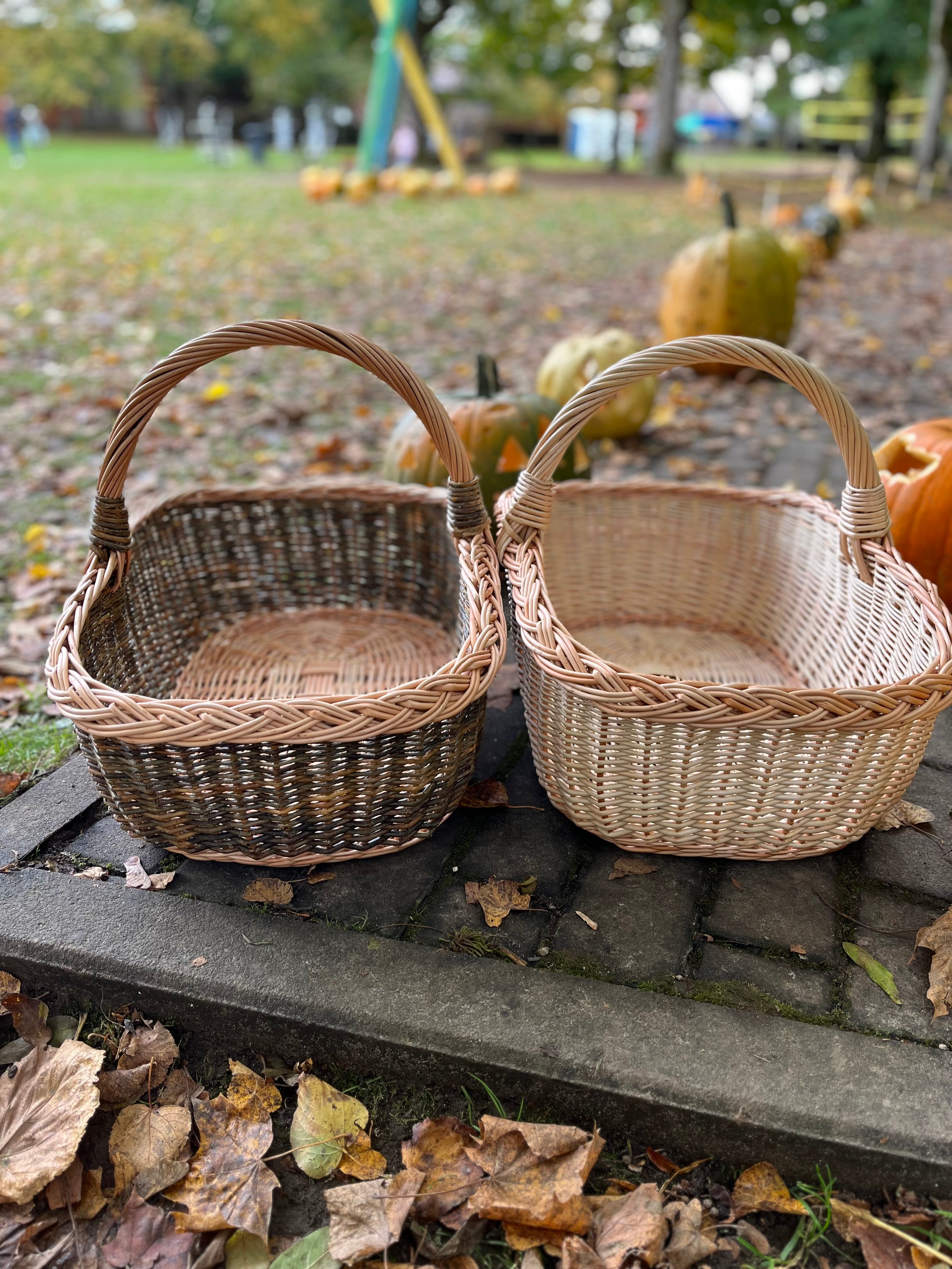 Rectangular Wicker Basket with Braided Handle