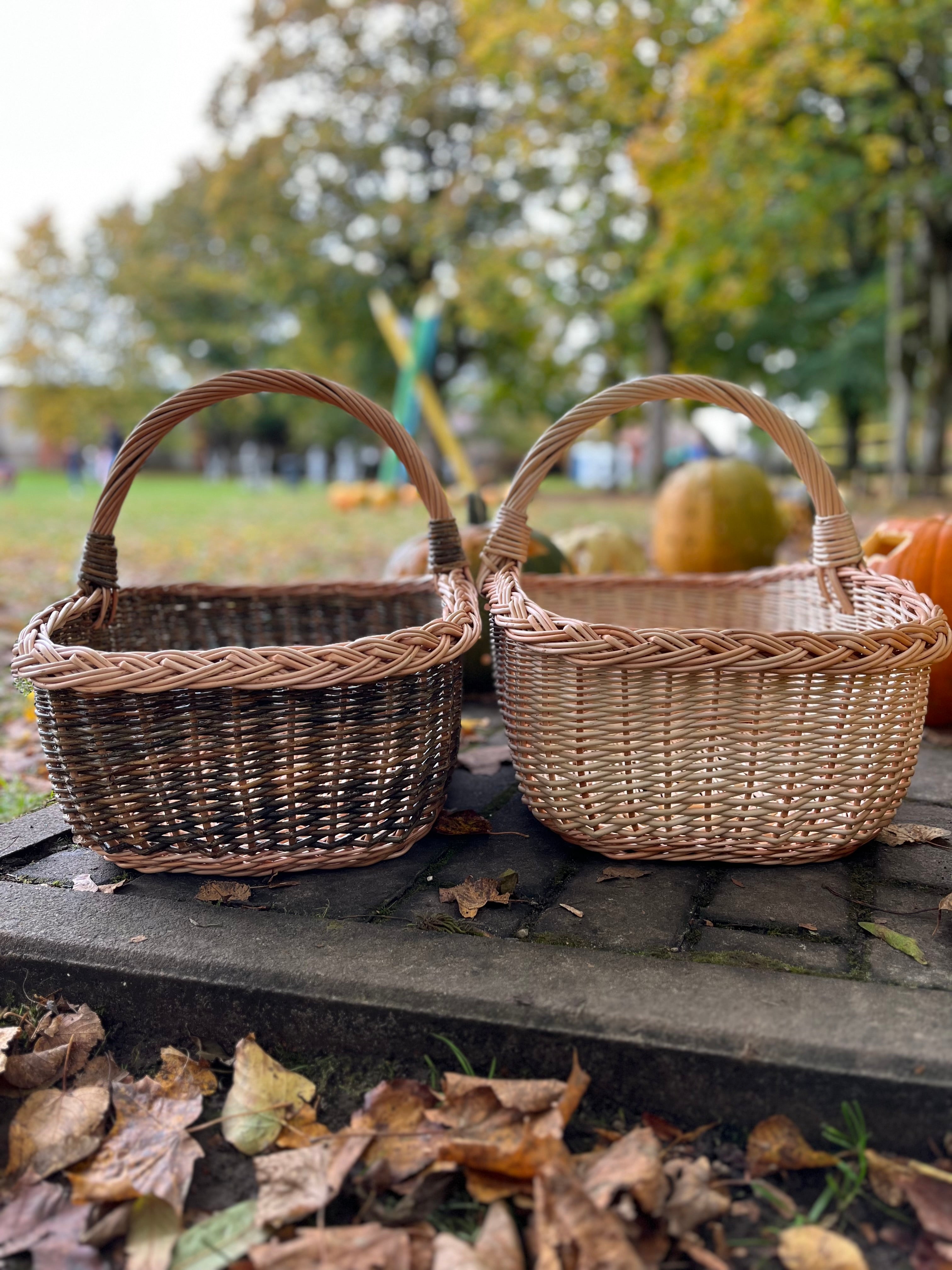 Rectangular Wicker Basket with Braided Handle