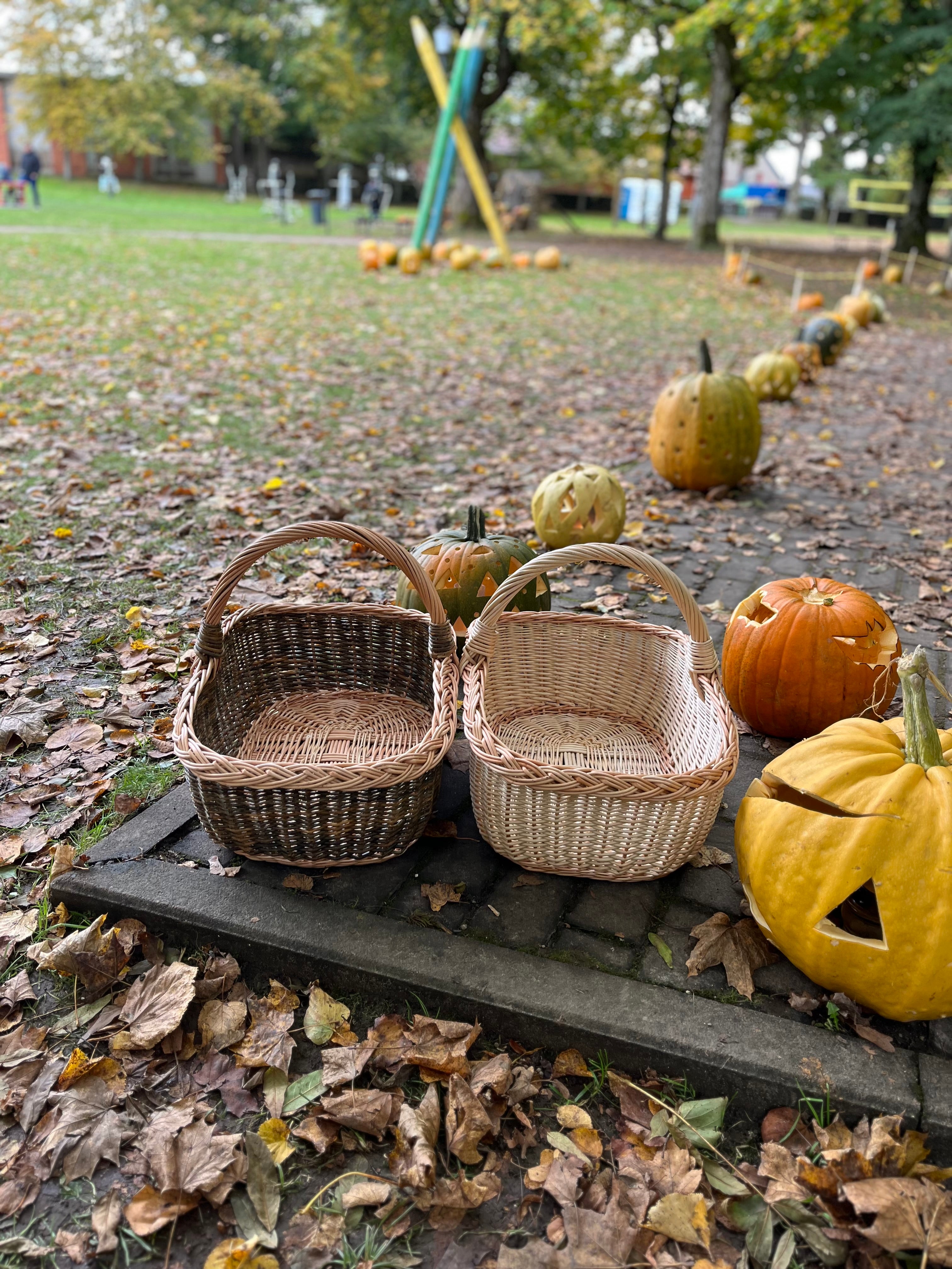 Rectangular Wicker Basket with Braided Handle